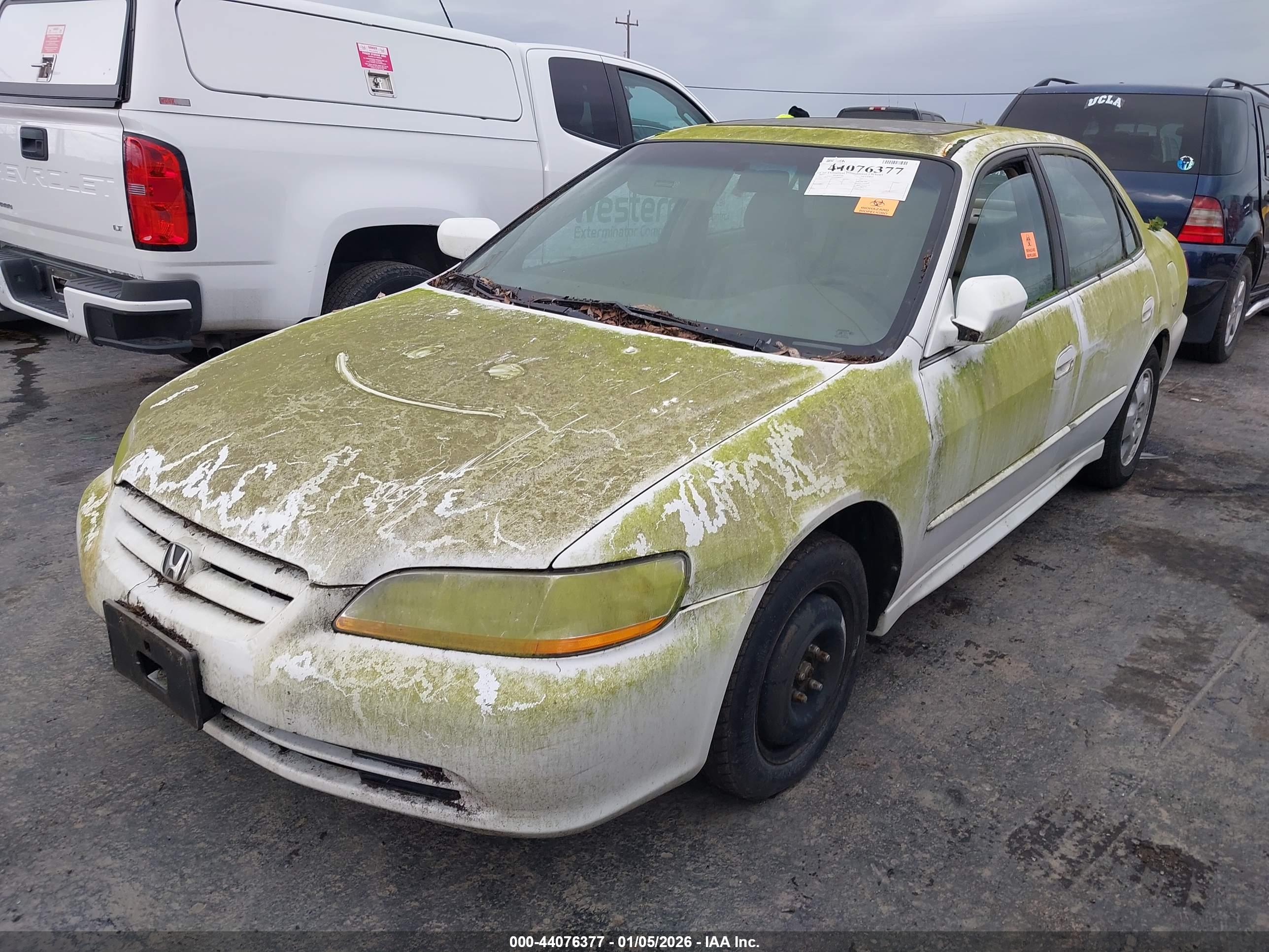 HONDA ACCORD image 6