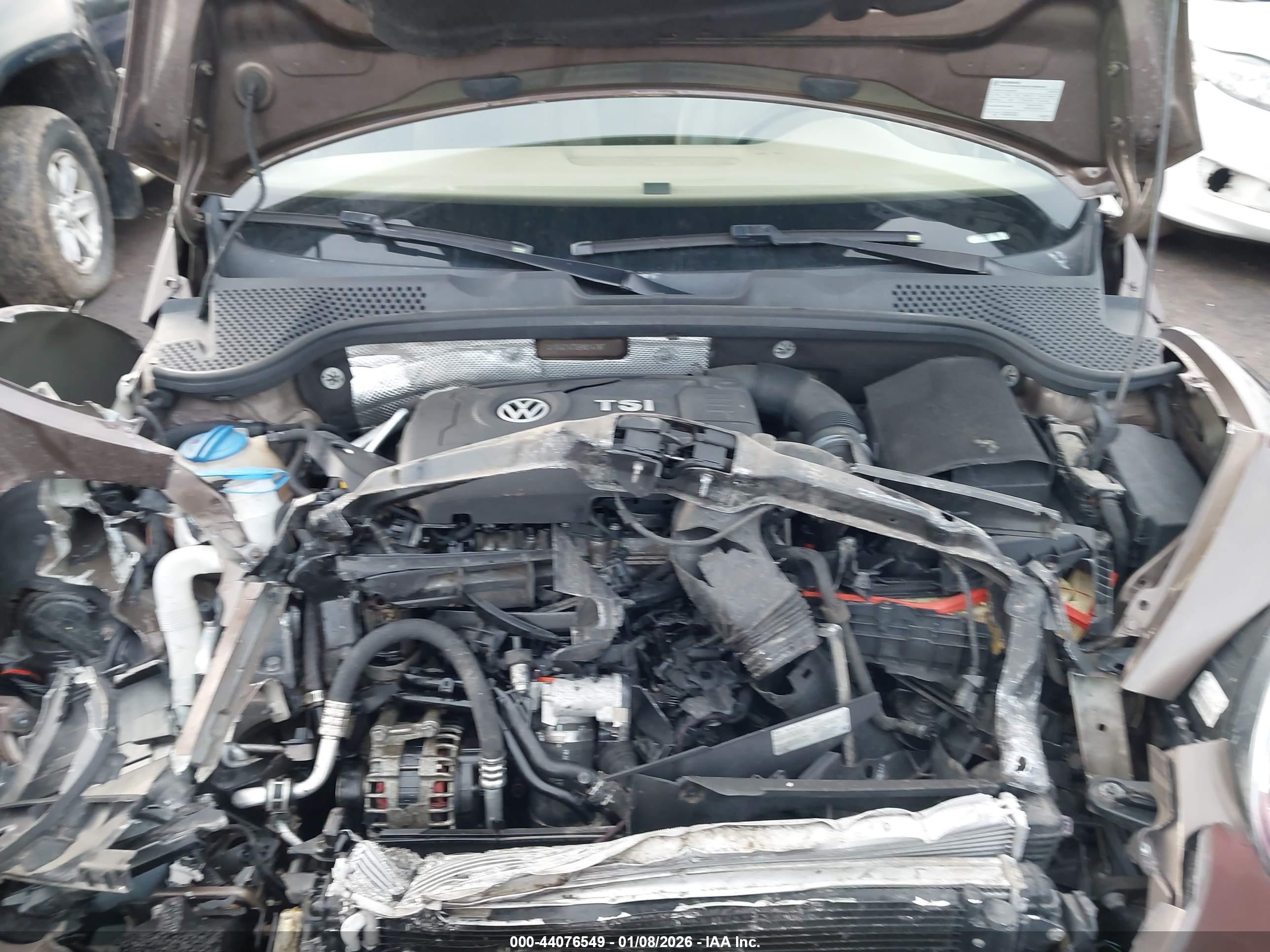 VOLKSWAGEN BEETLE image 10