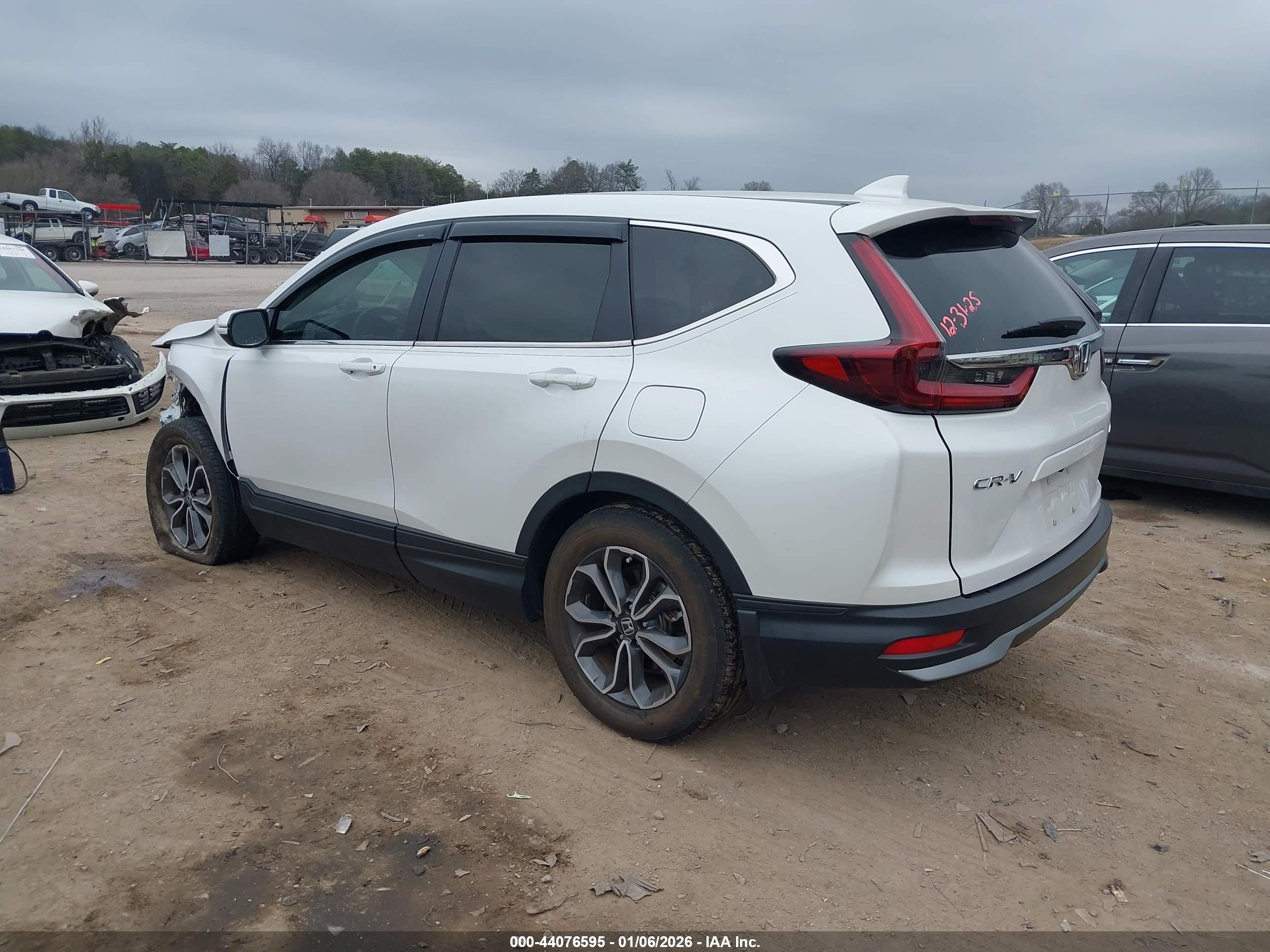 HONDA CR-V image 3