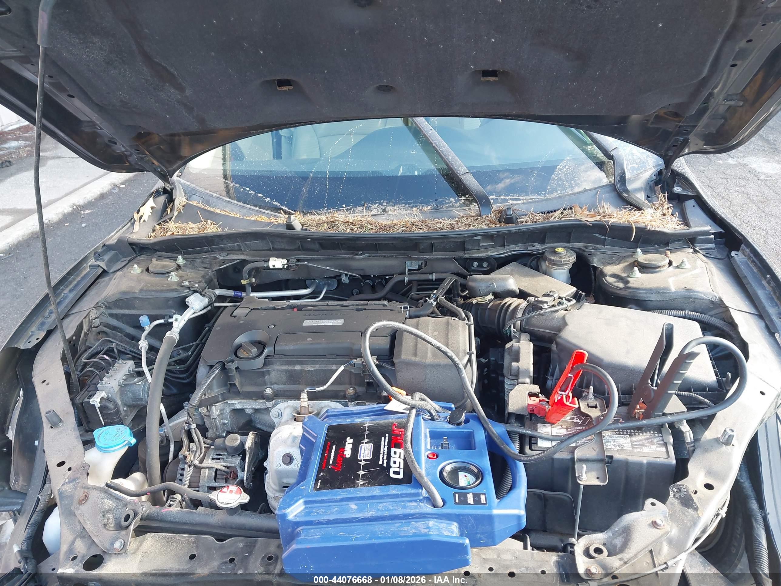 HONDA ACCORD image 10