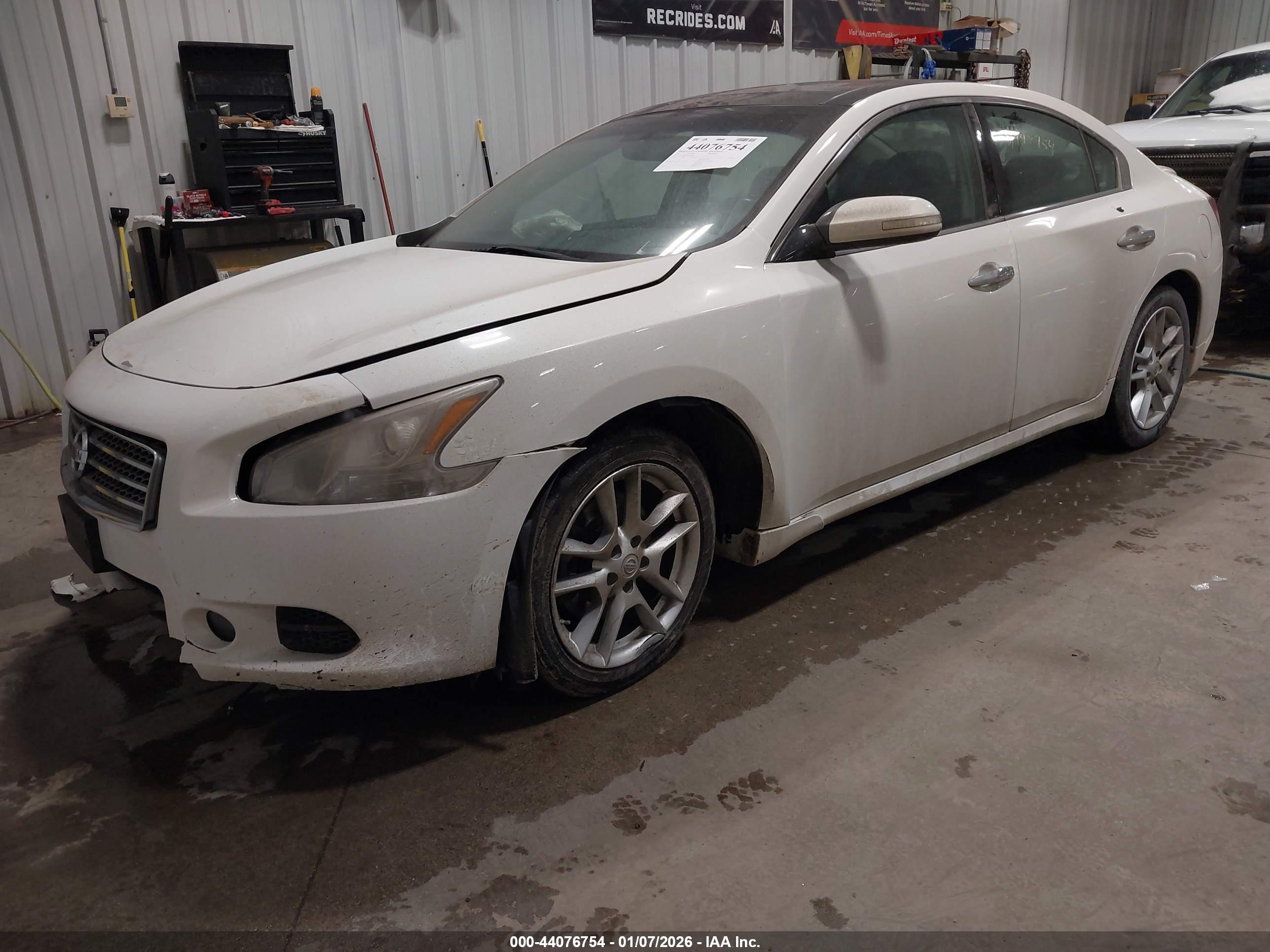 NISSAN MAXIMA image 2