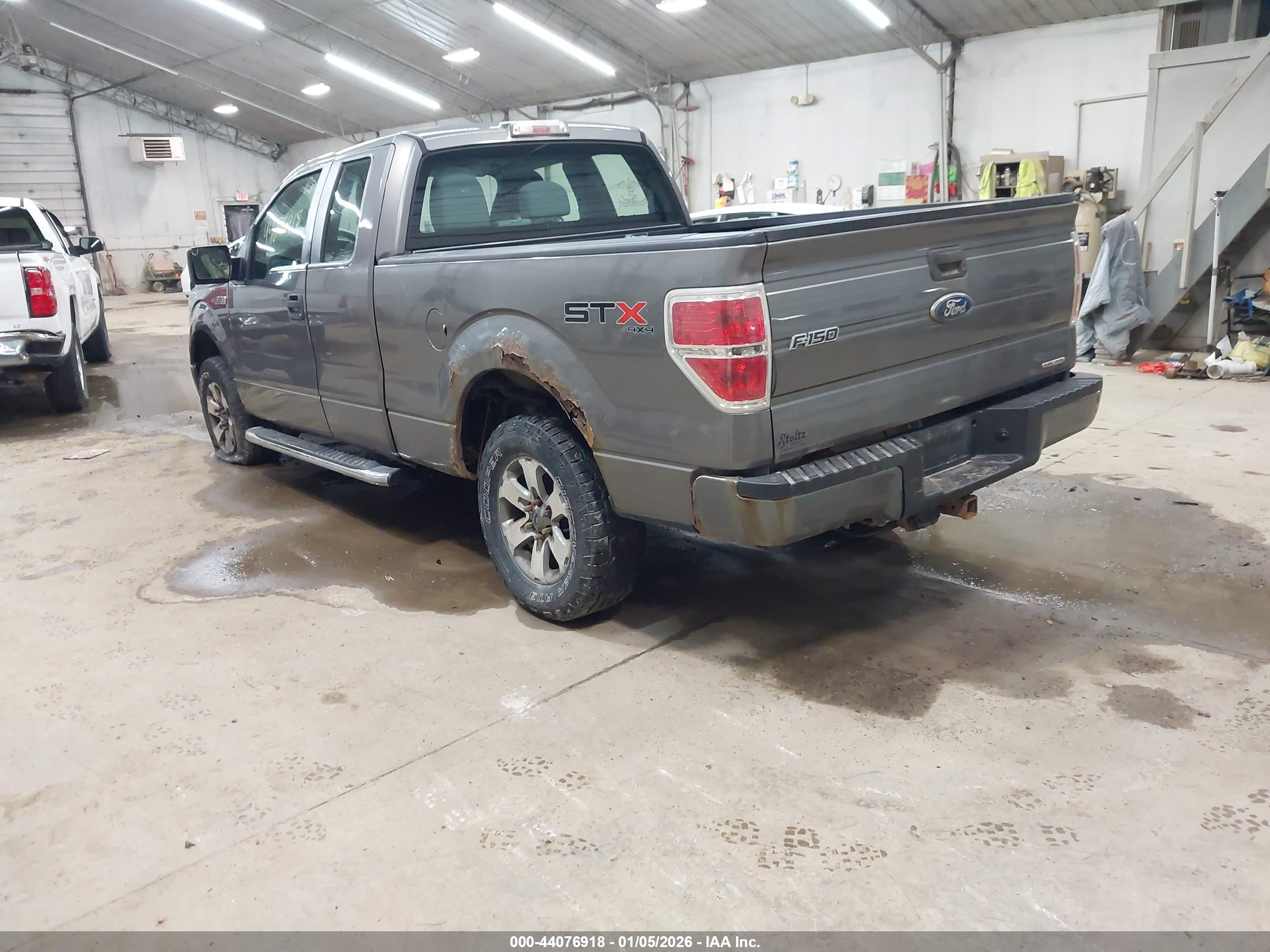 FORD F-150 image 3