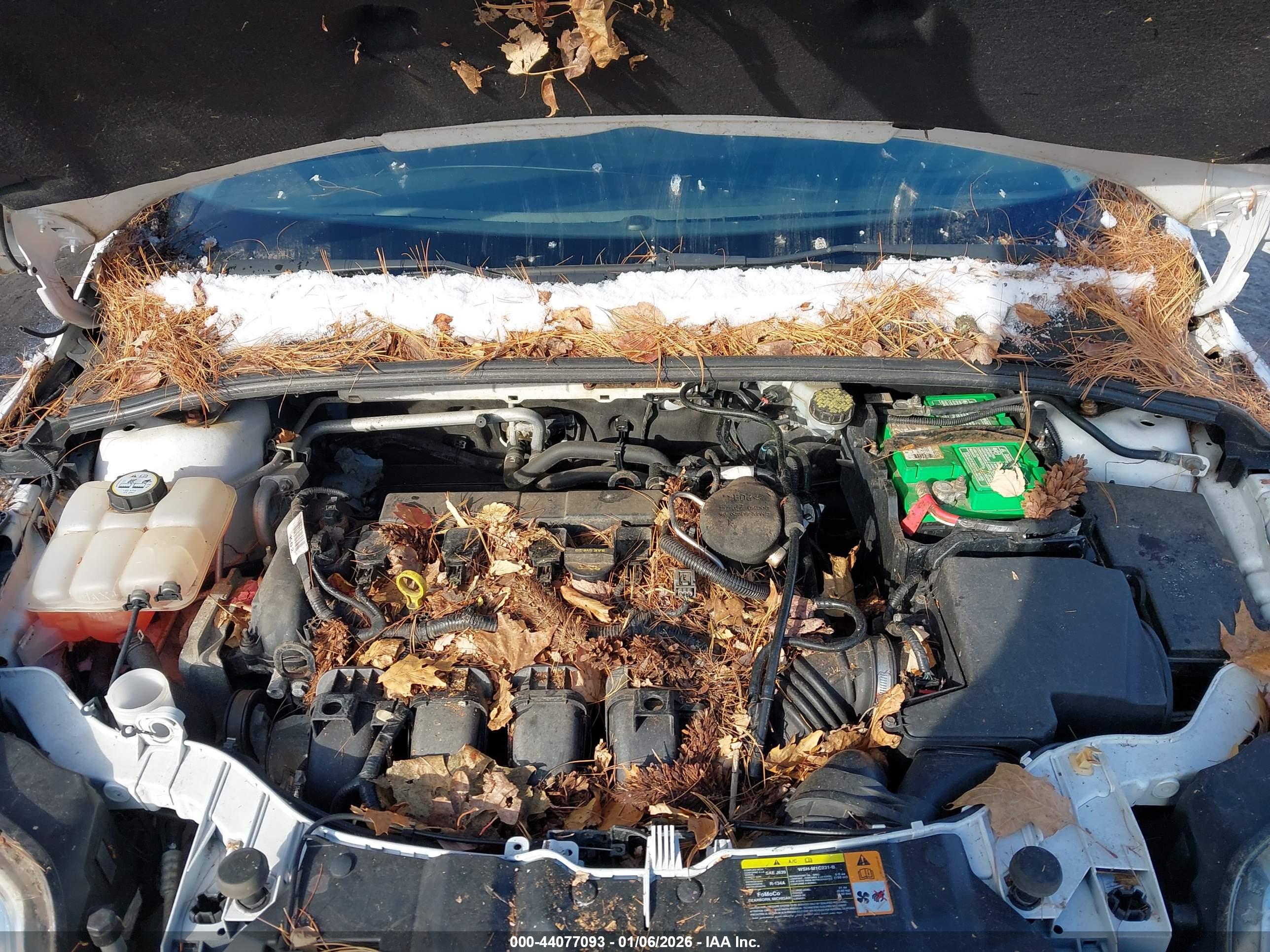 FORD FOCUS image 10