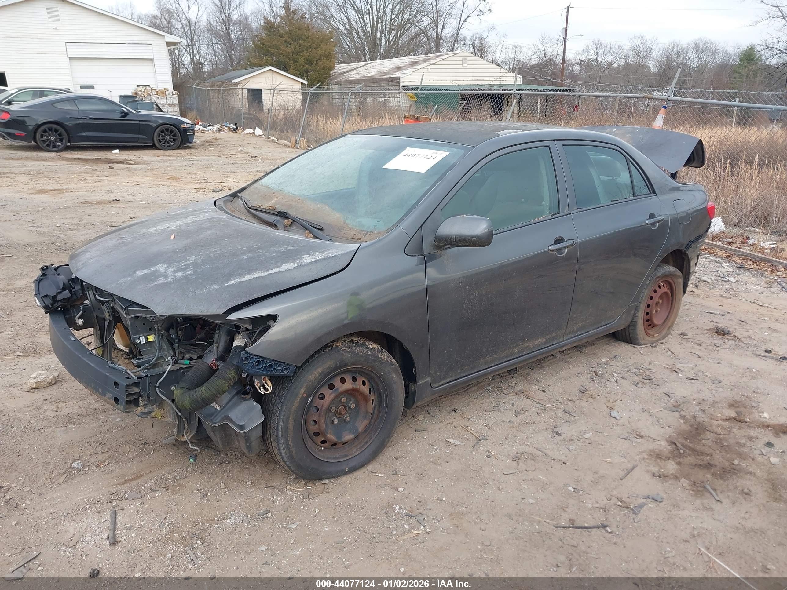 TOYOTA COROLLA image 2