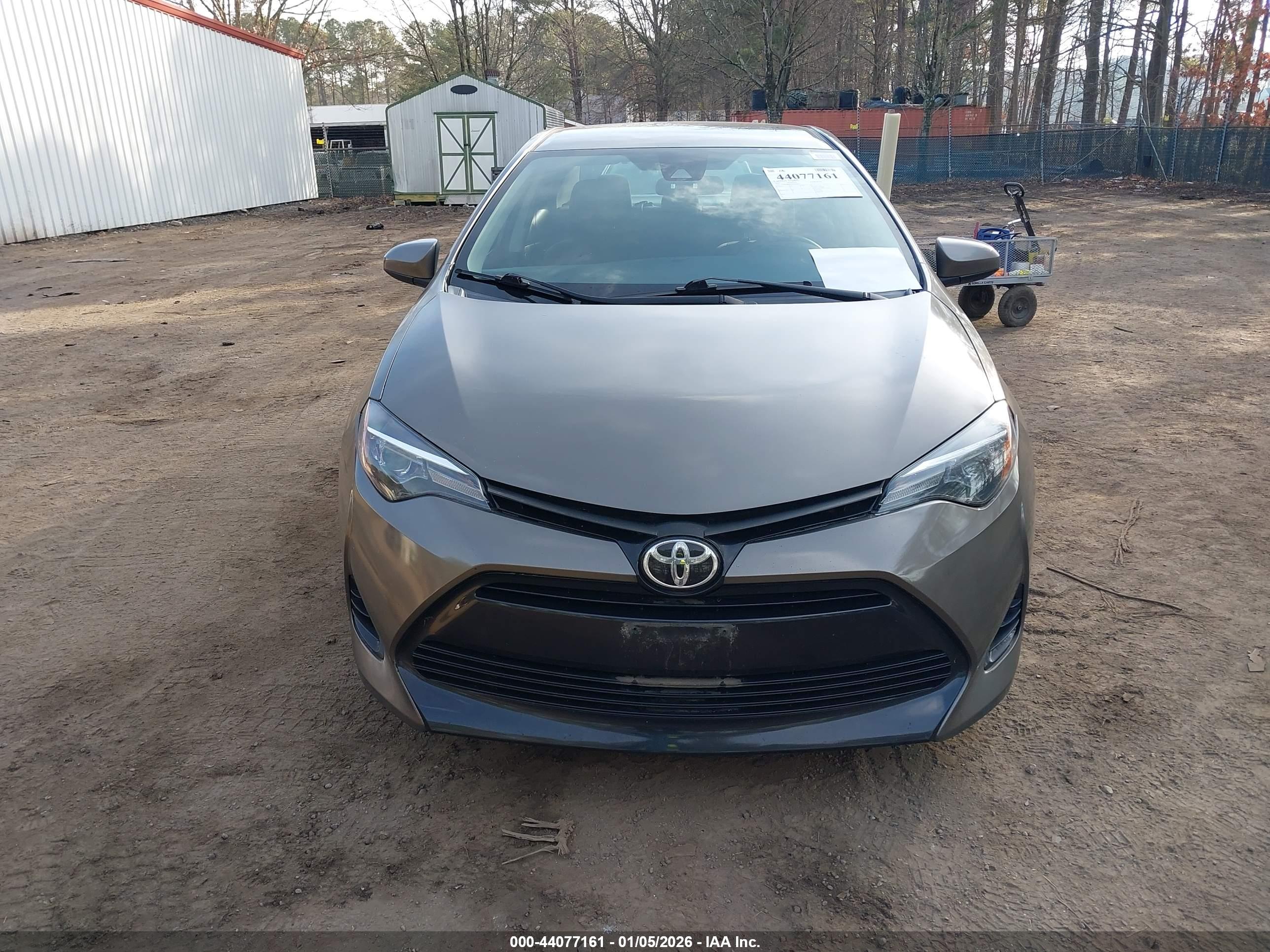 TOYOTA COROLLA image 6