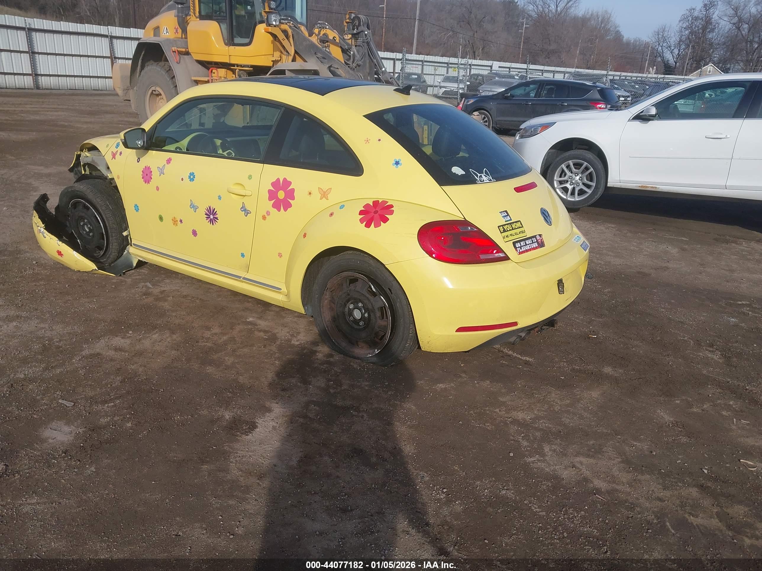 VOLKSWAGEN BEETLE image 3