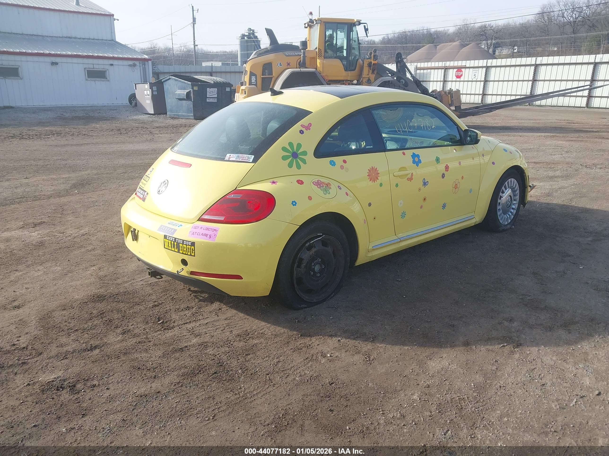 VOLKSWAGEN BEETLE image 4