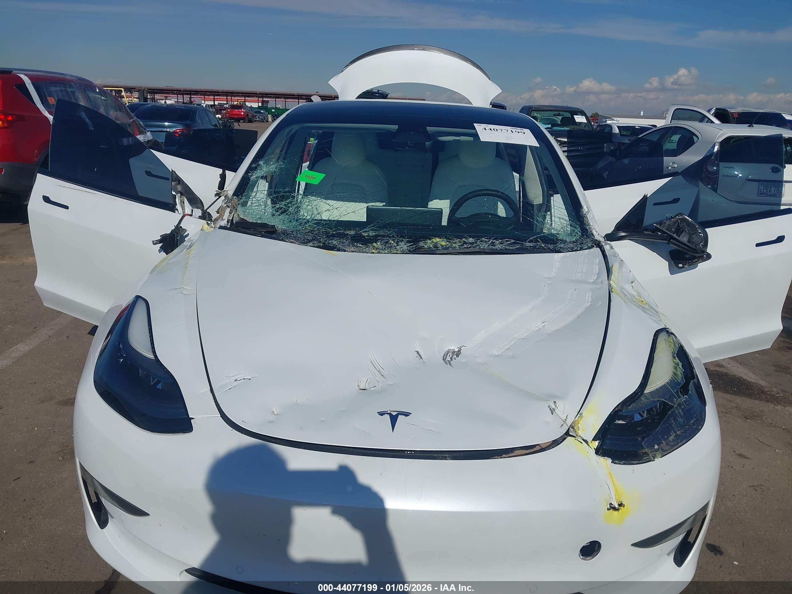 TESLA MODEL image 10