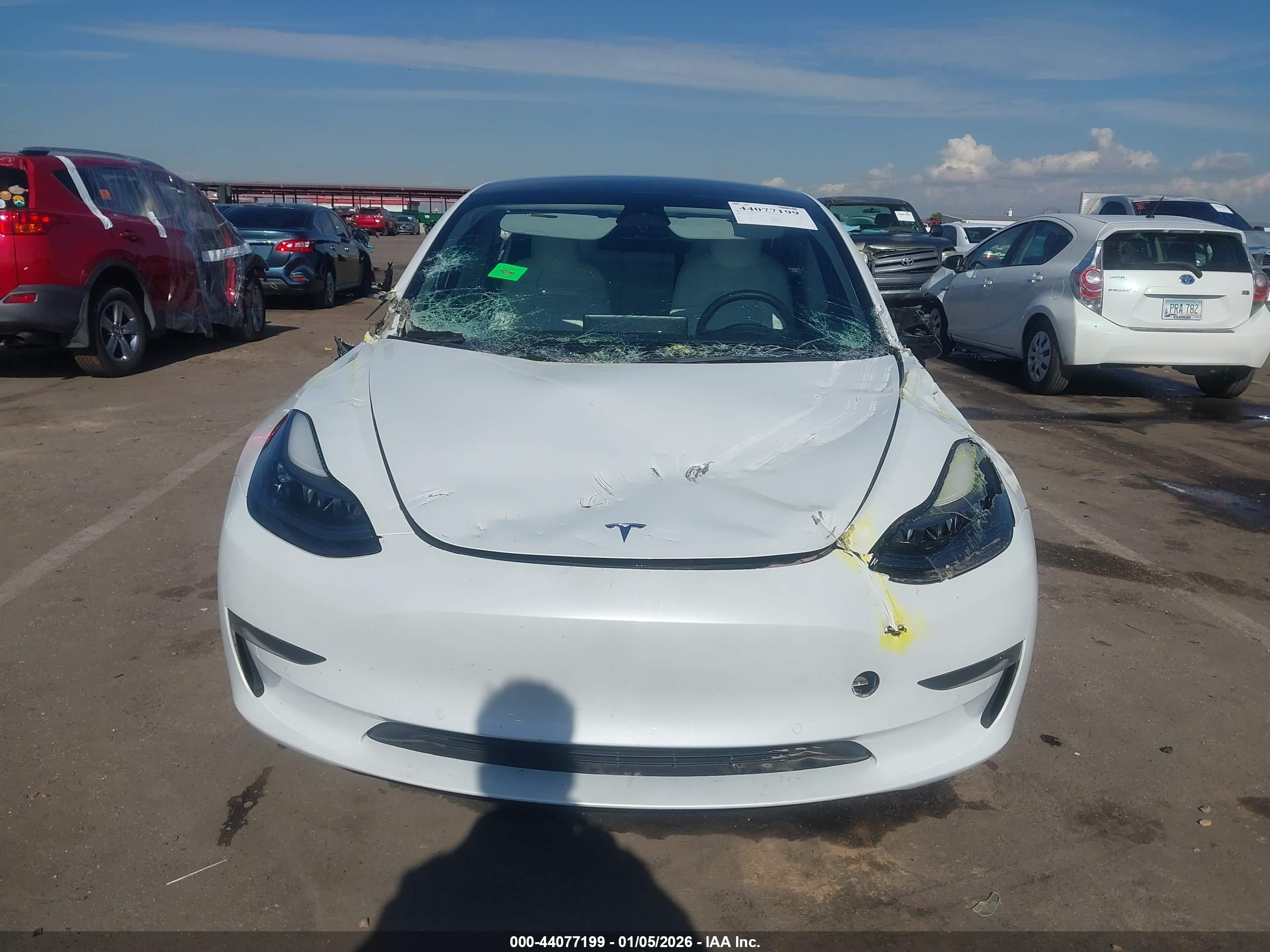 TESLA MODEL image 6