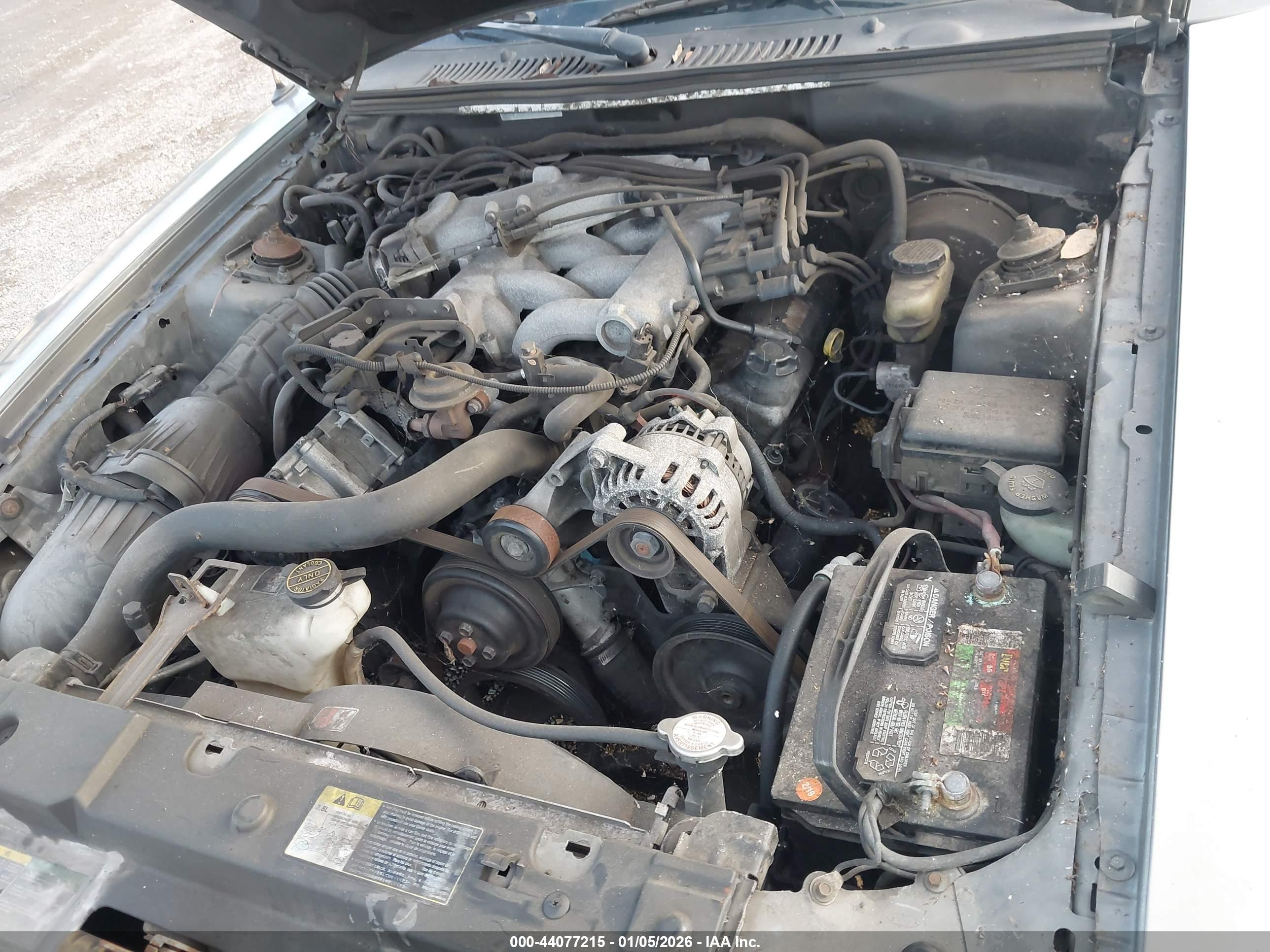 FORD MUSTANG image 10