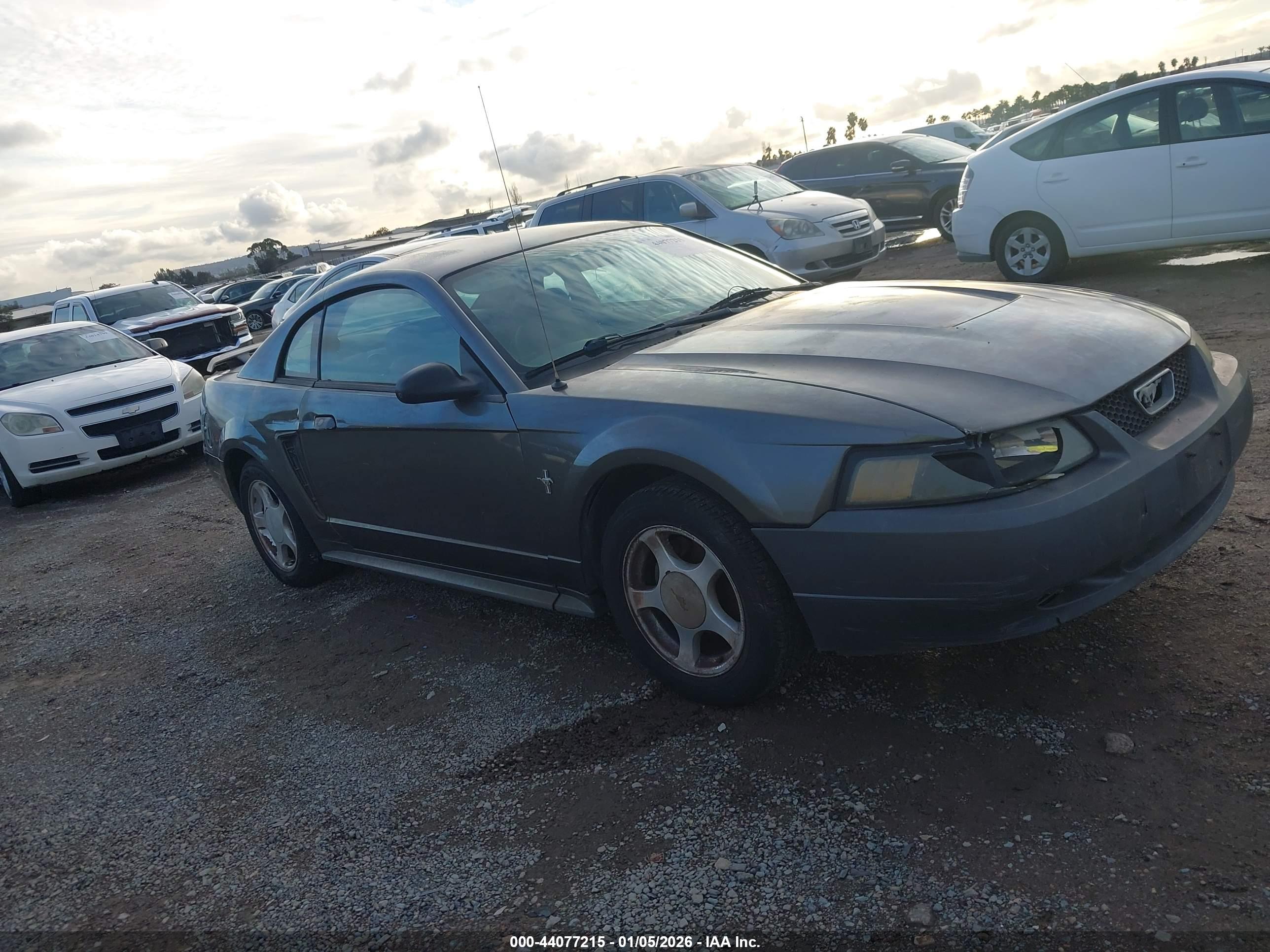 FORD MUSTANG image 6