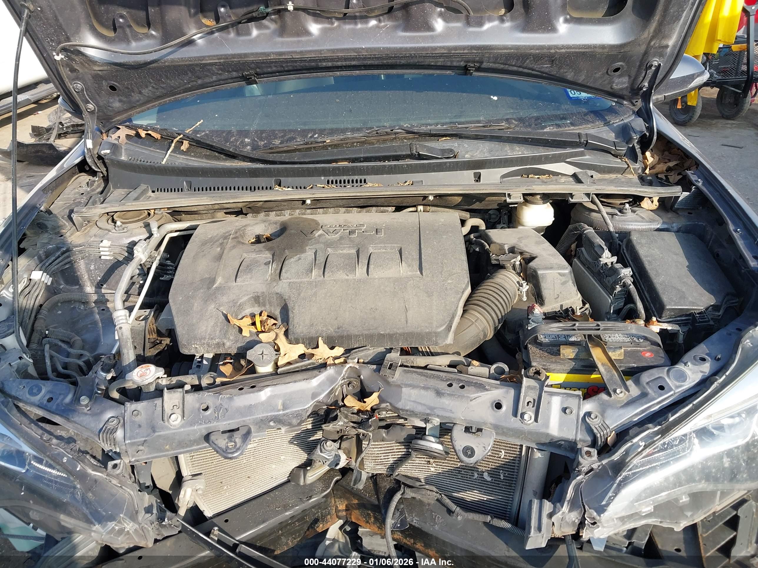 TOYOTA COROLLA image 10