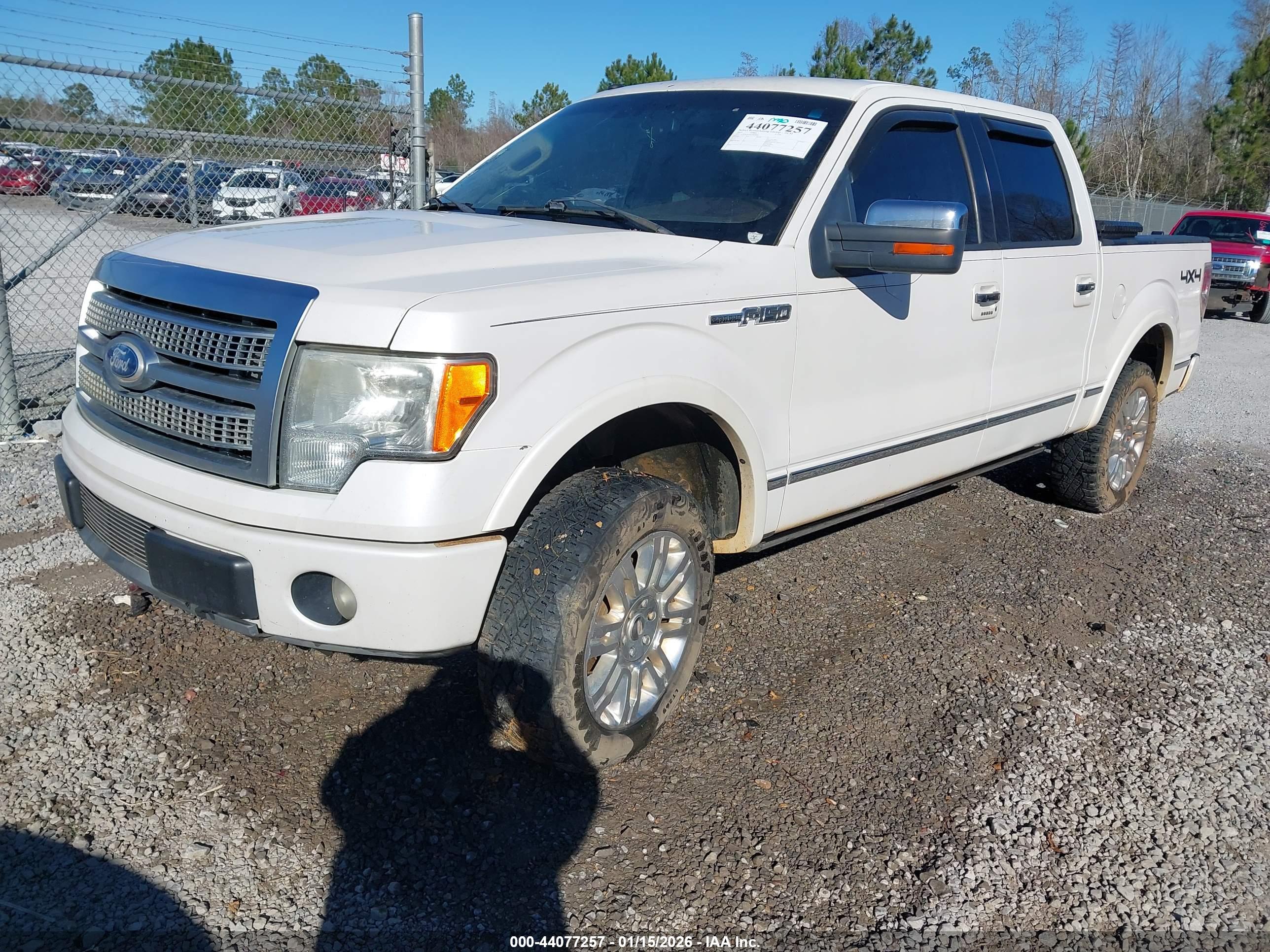 FORD F-150 image 2