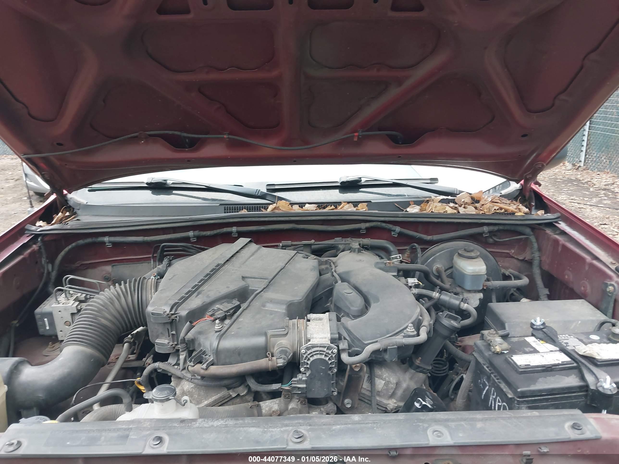 TOYOTA TACOMA image 10