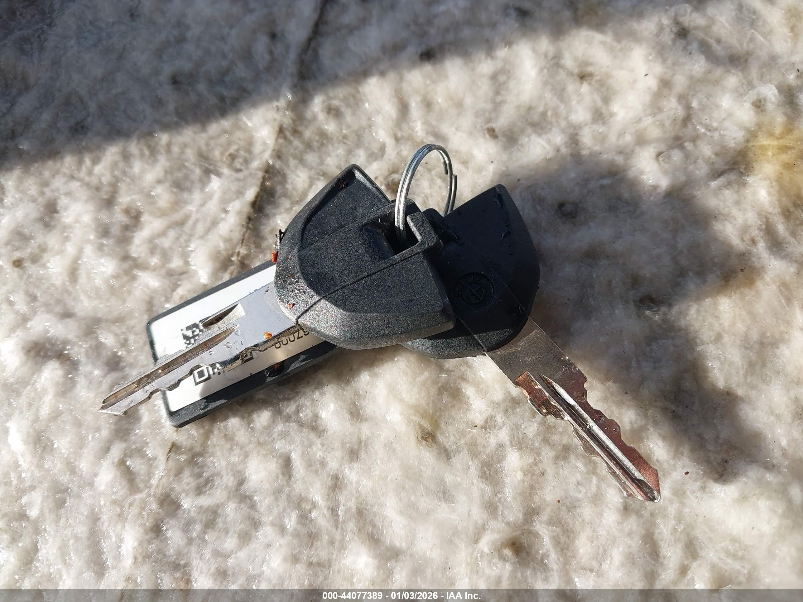BMW G310 image 11