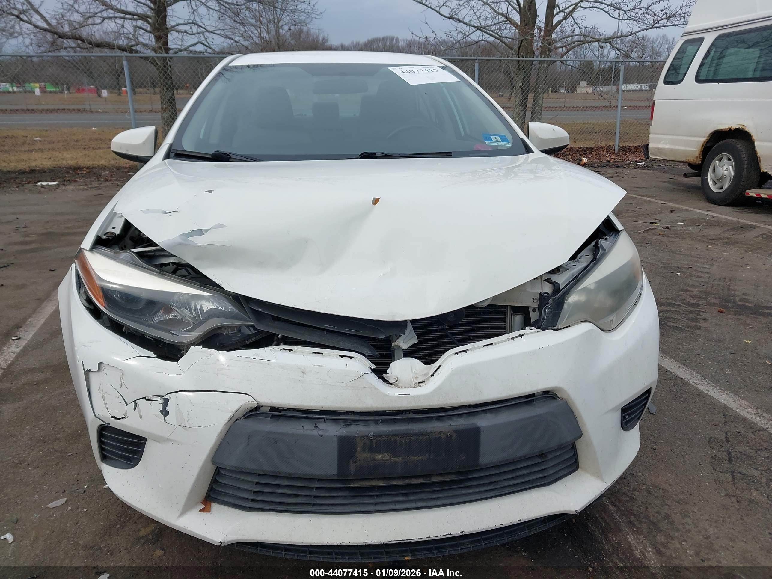 TOYOTA COROLLA image 6