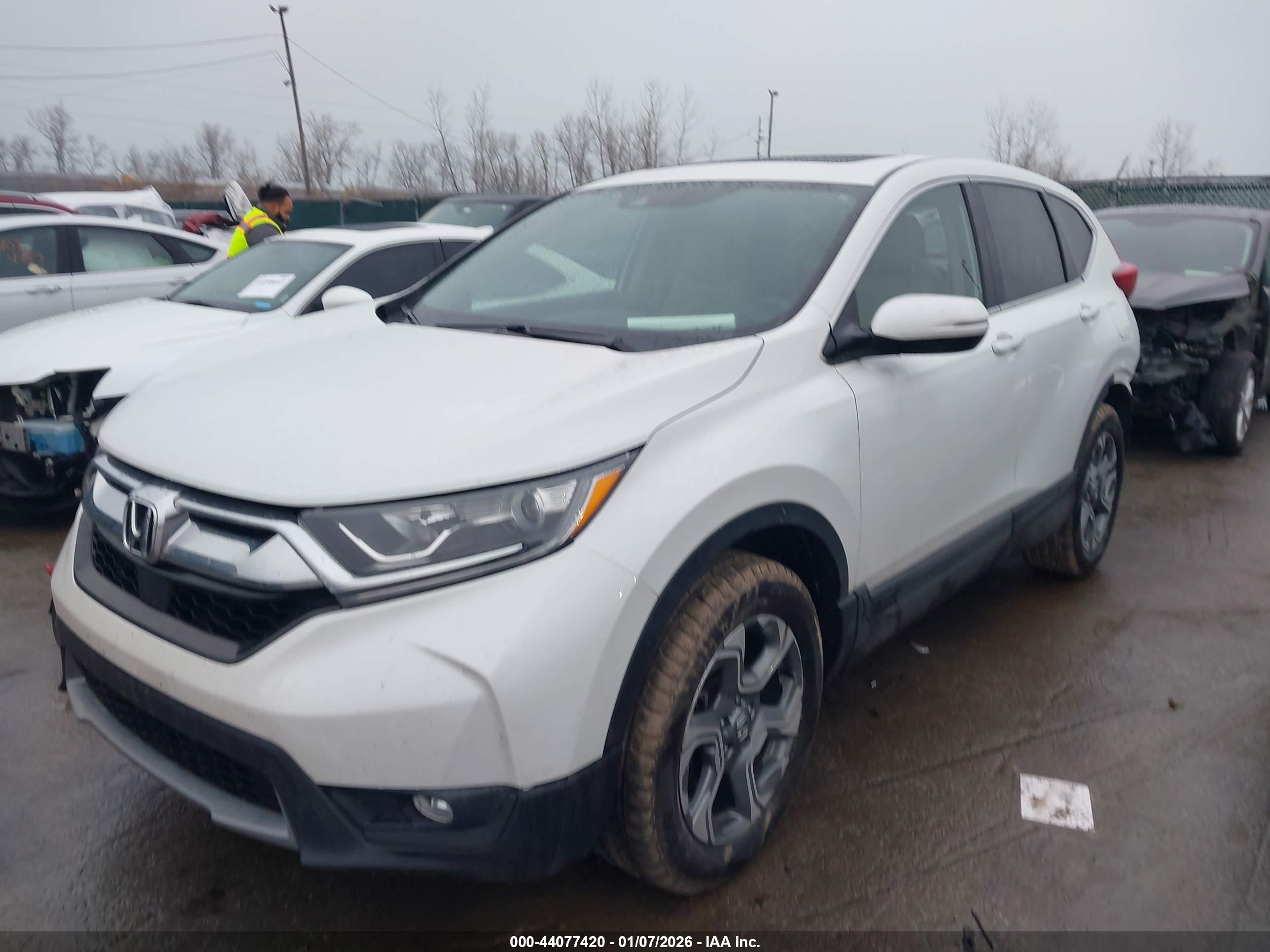 HONDA CR-V image 2
