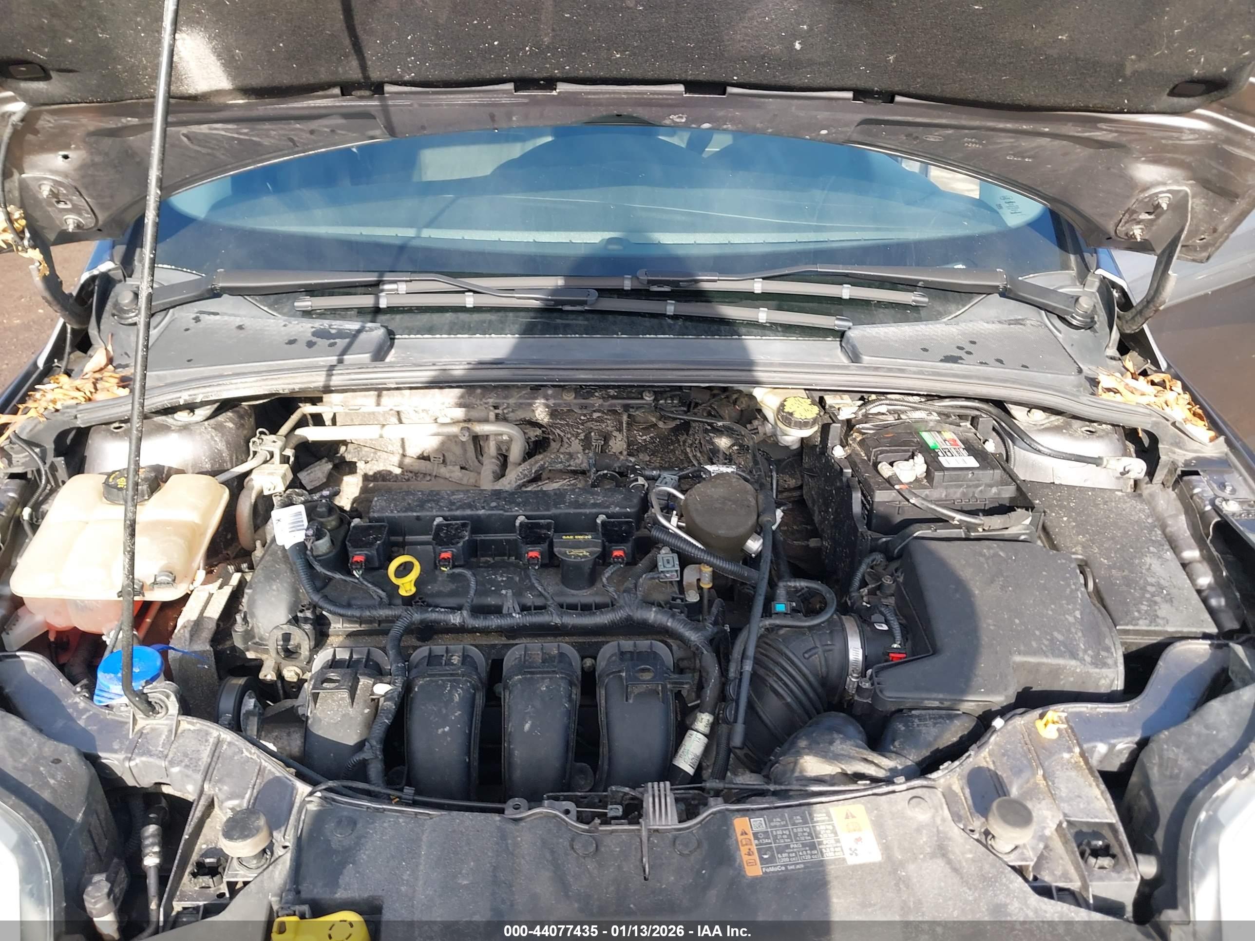 FORD FOCUS image 10
