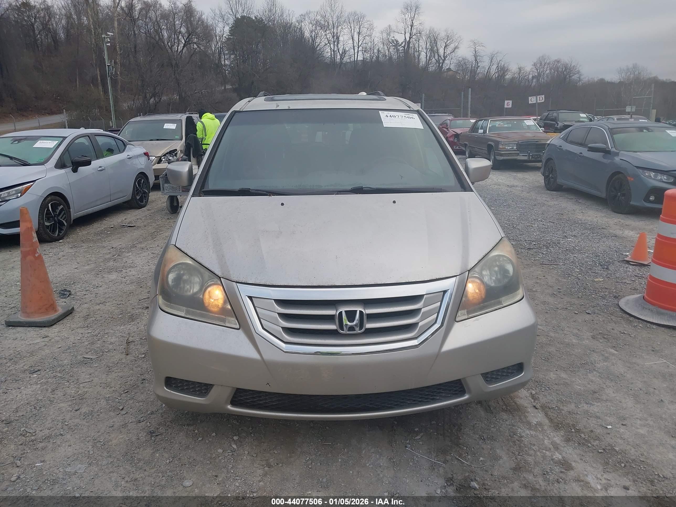HONDA ODYSSEY image 6