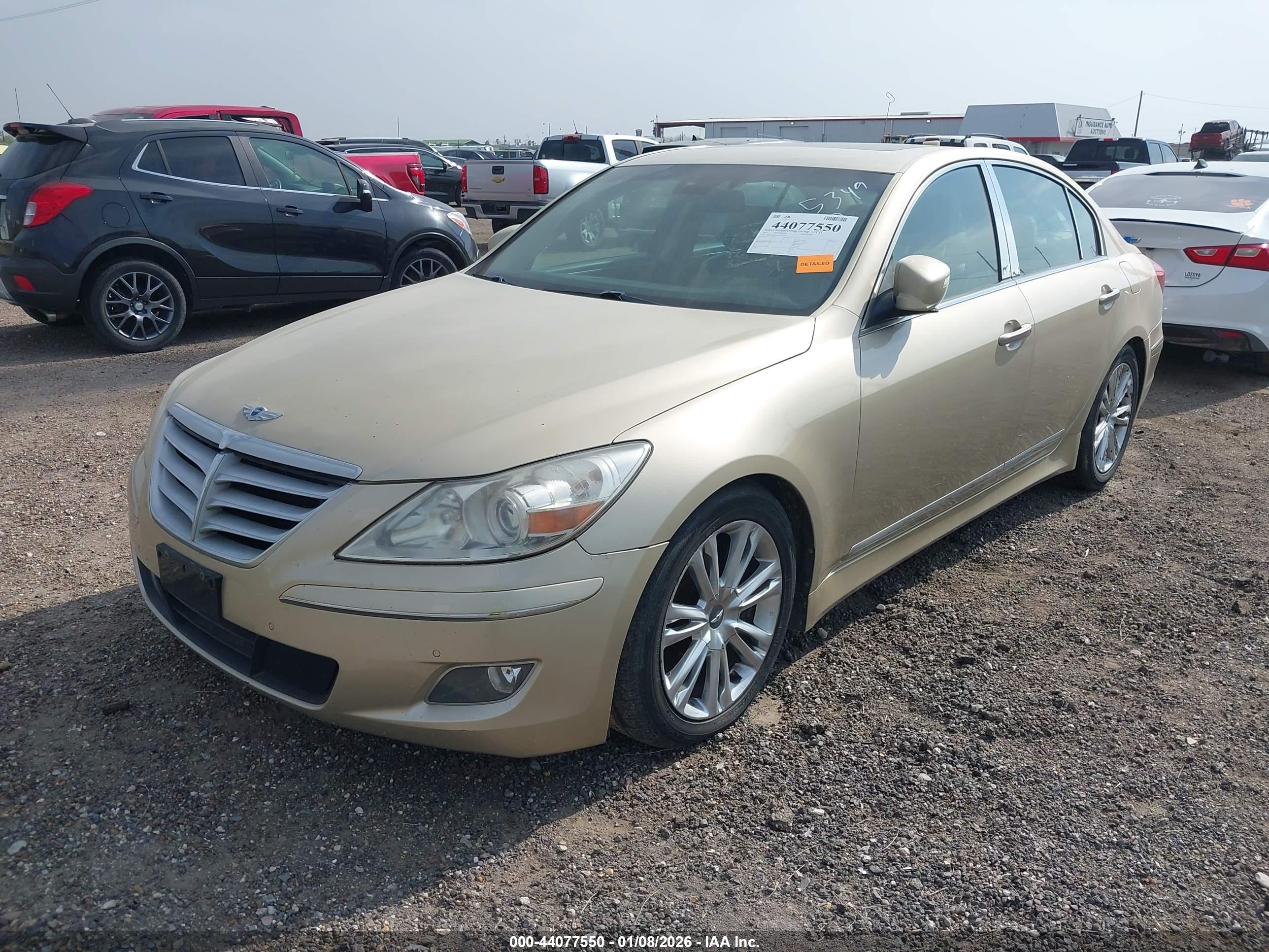 HYUNDAI GENESIS image 2