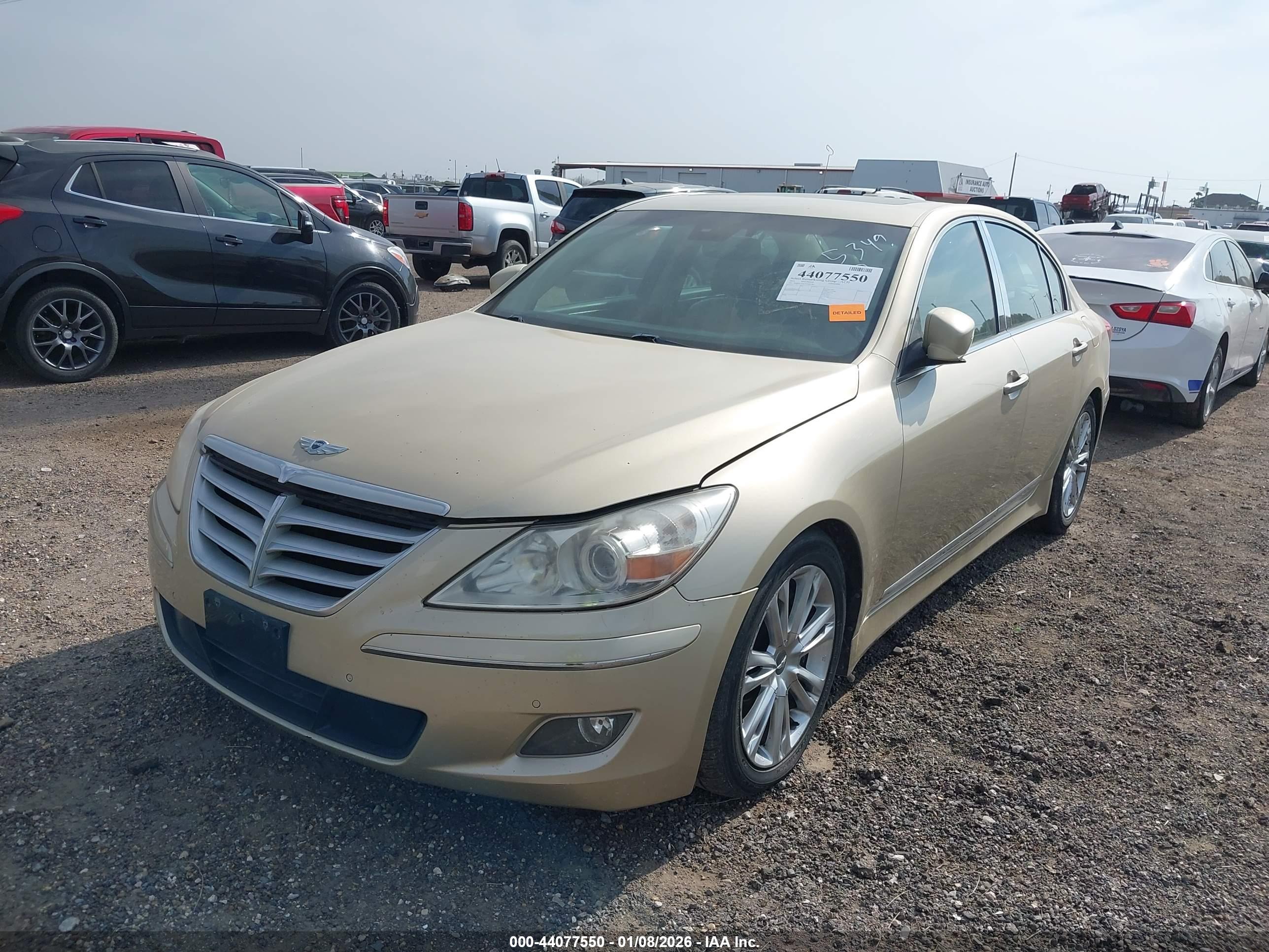 HYUNDAI GENESIS image 6