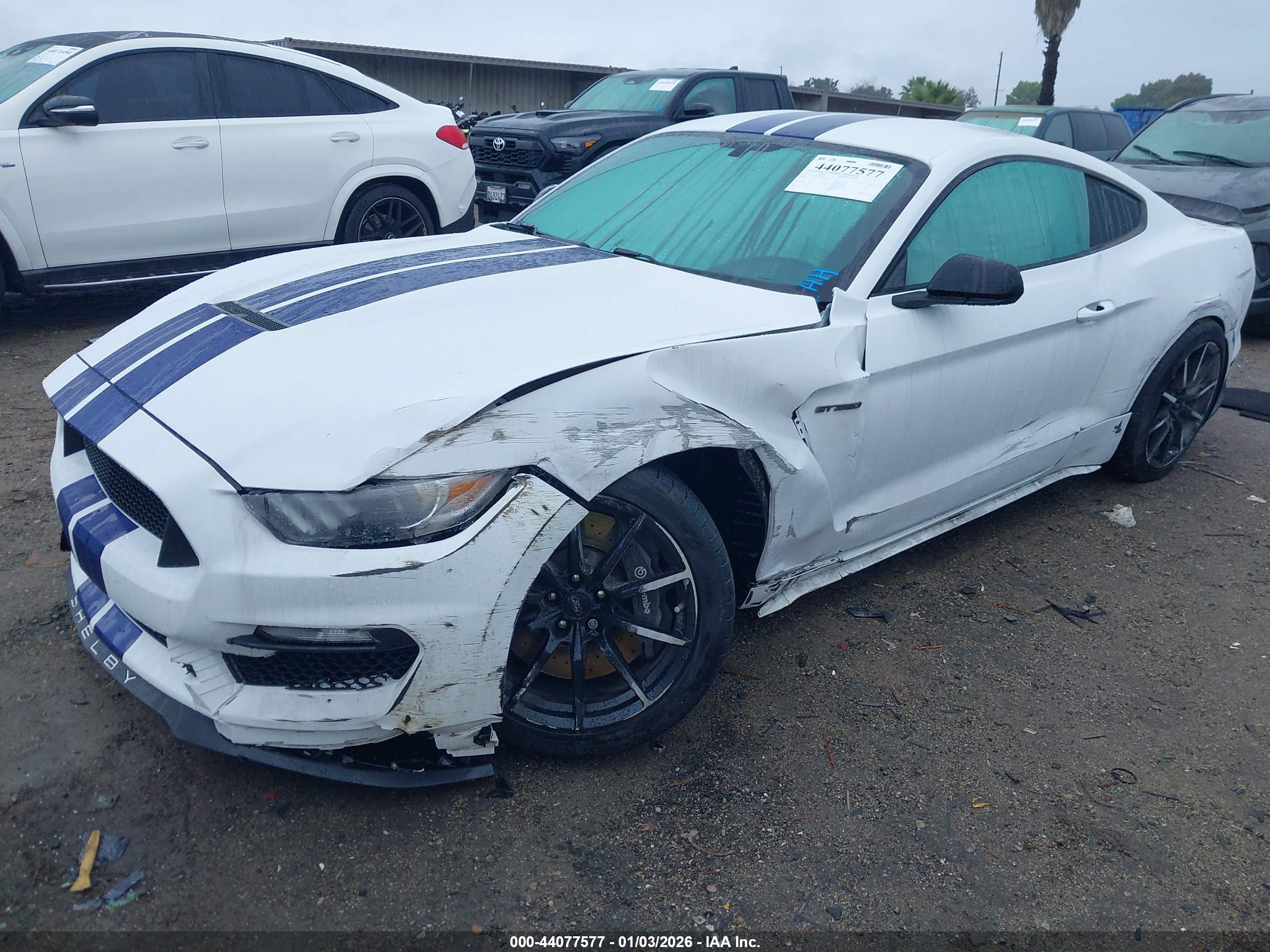 FORD SHELBY image 2