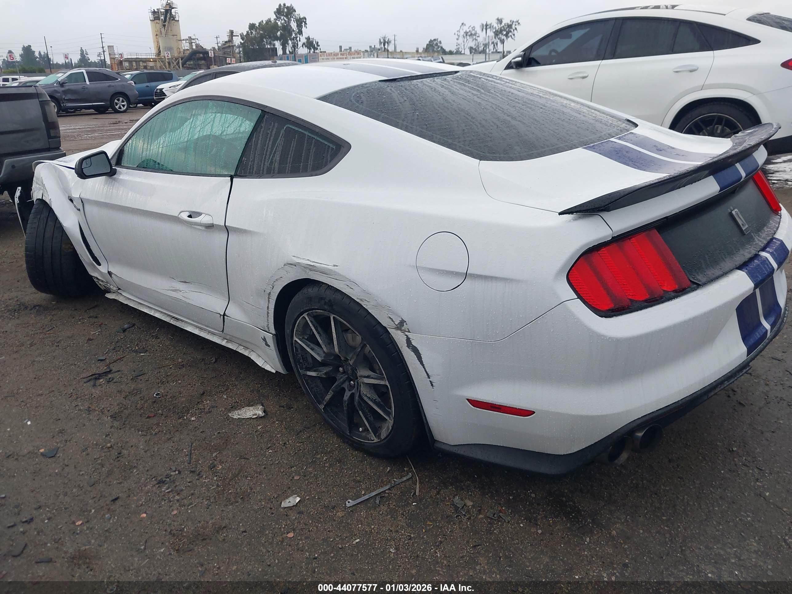 FORD SHELBY image 3
