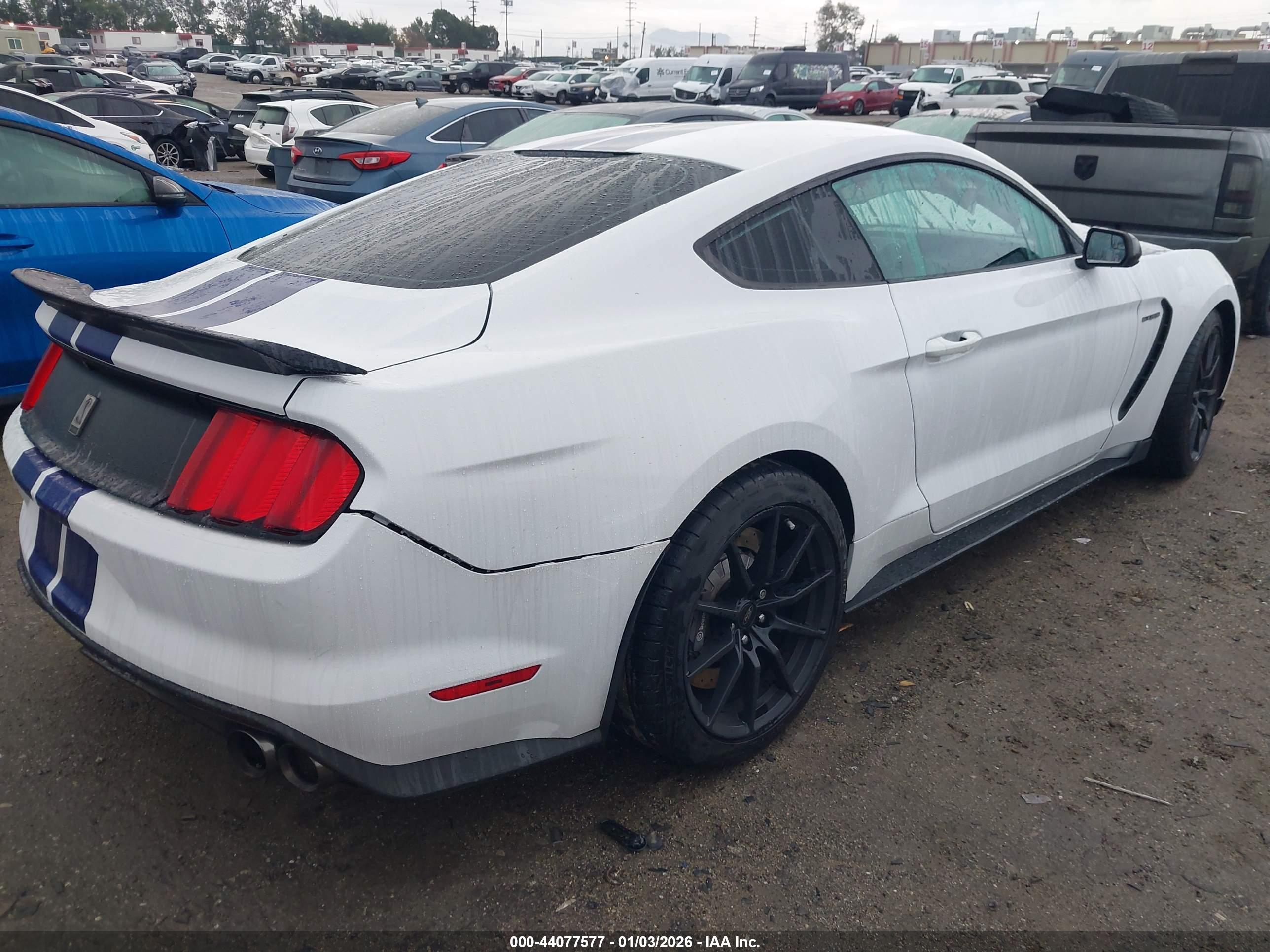 FORD SHELBY image 4