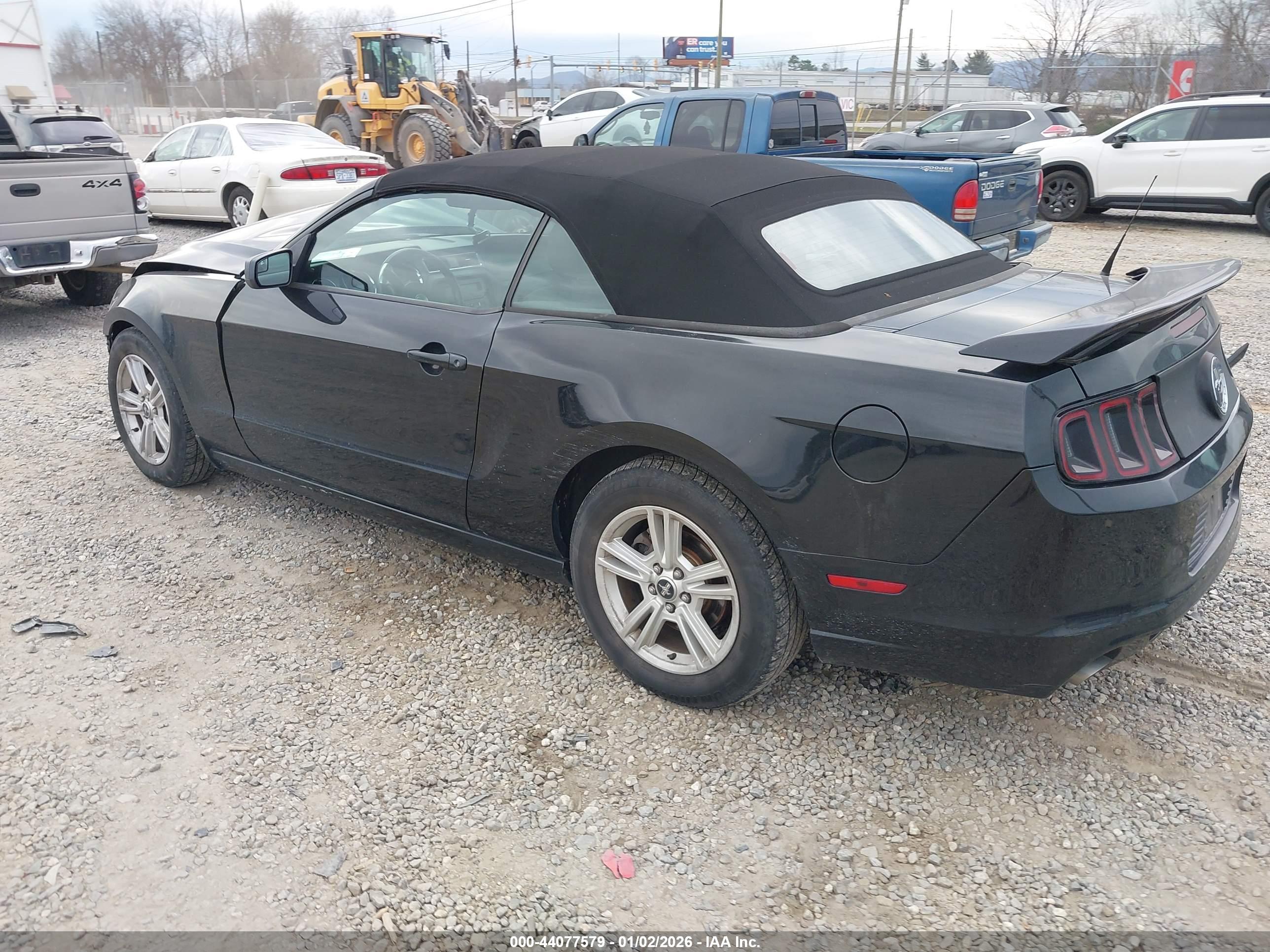 FORD MUSTANG image 3