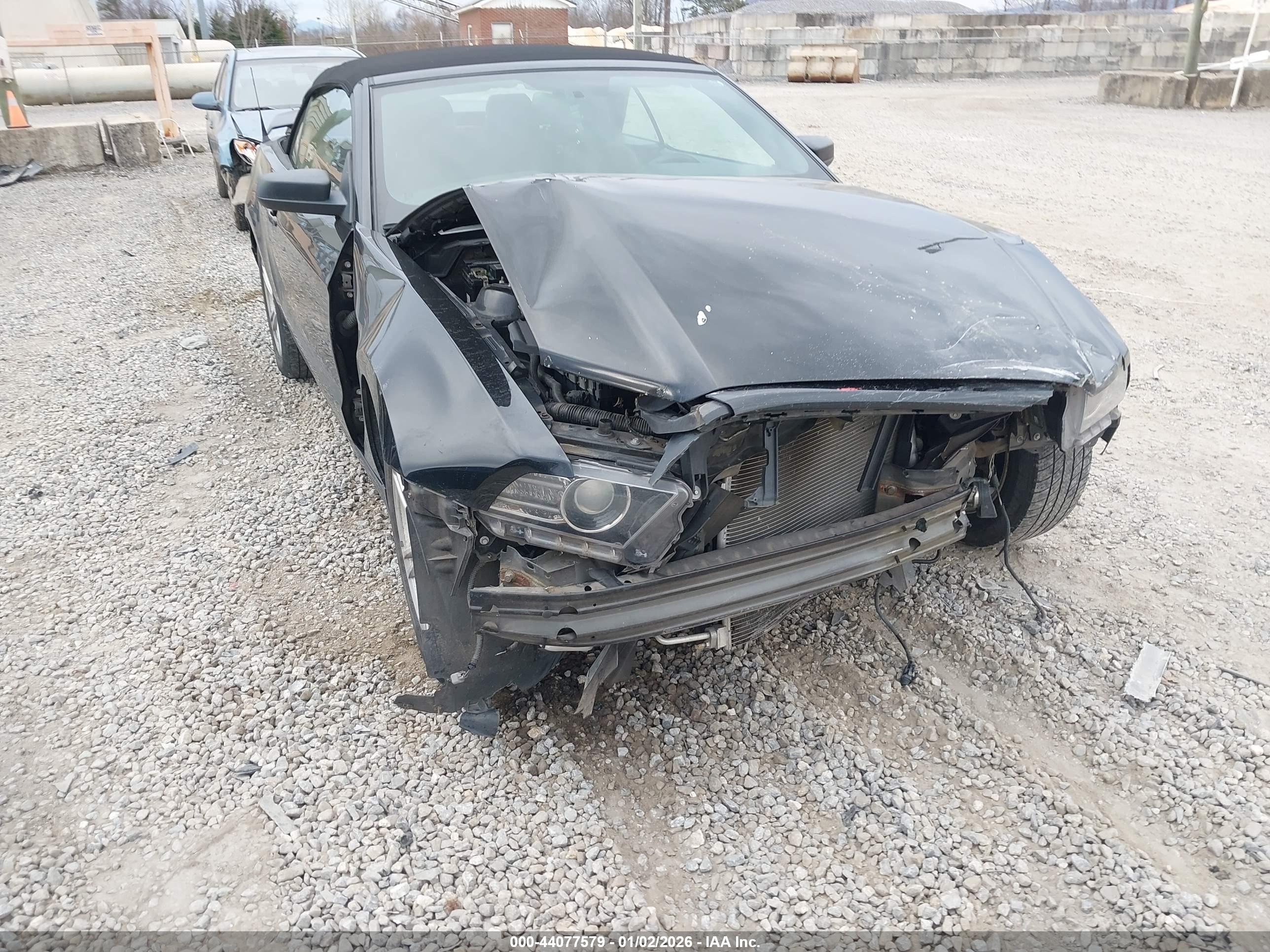 FORD MUSTANG image 6