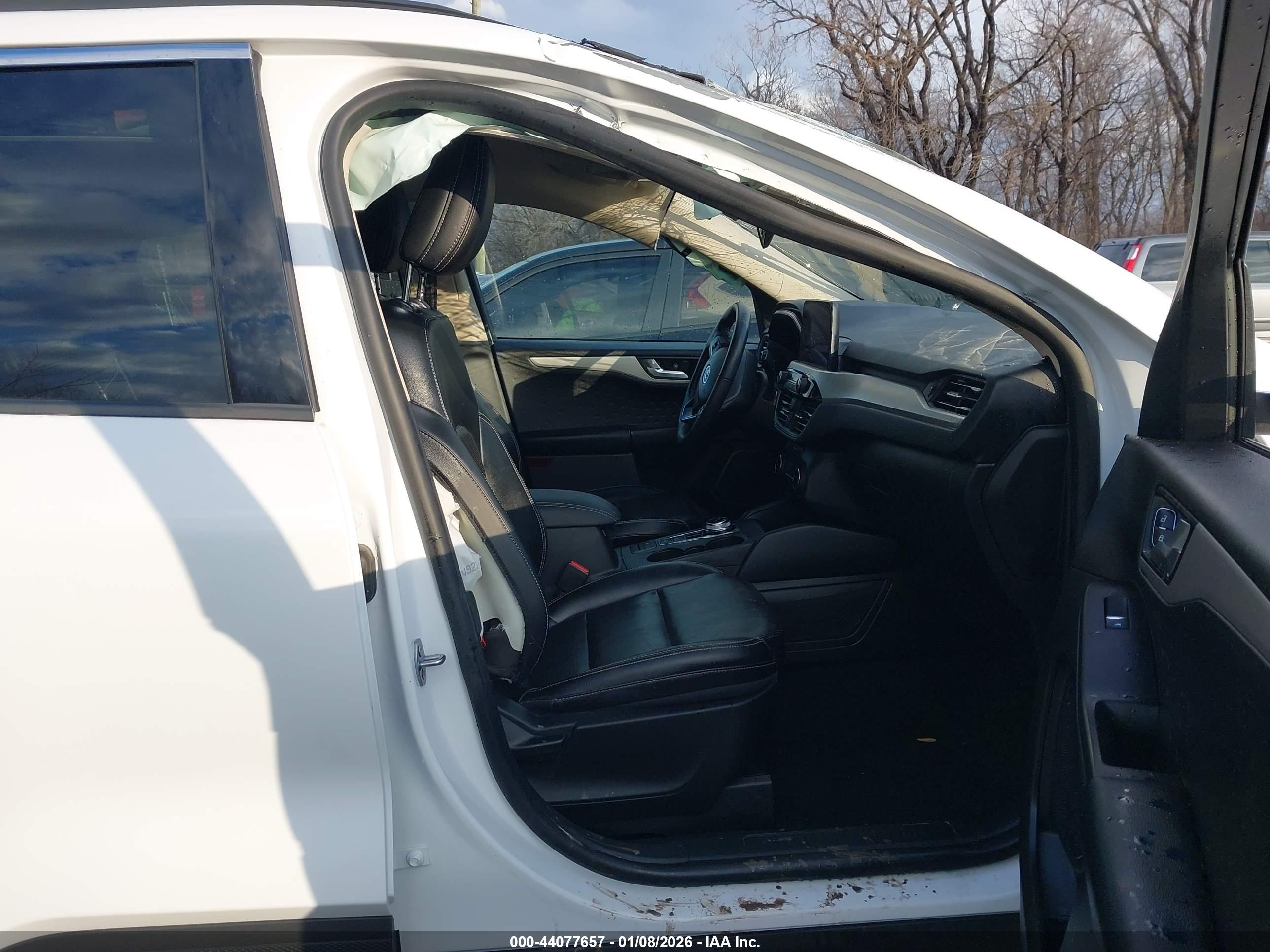 FORD ESCAPE image 5