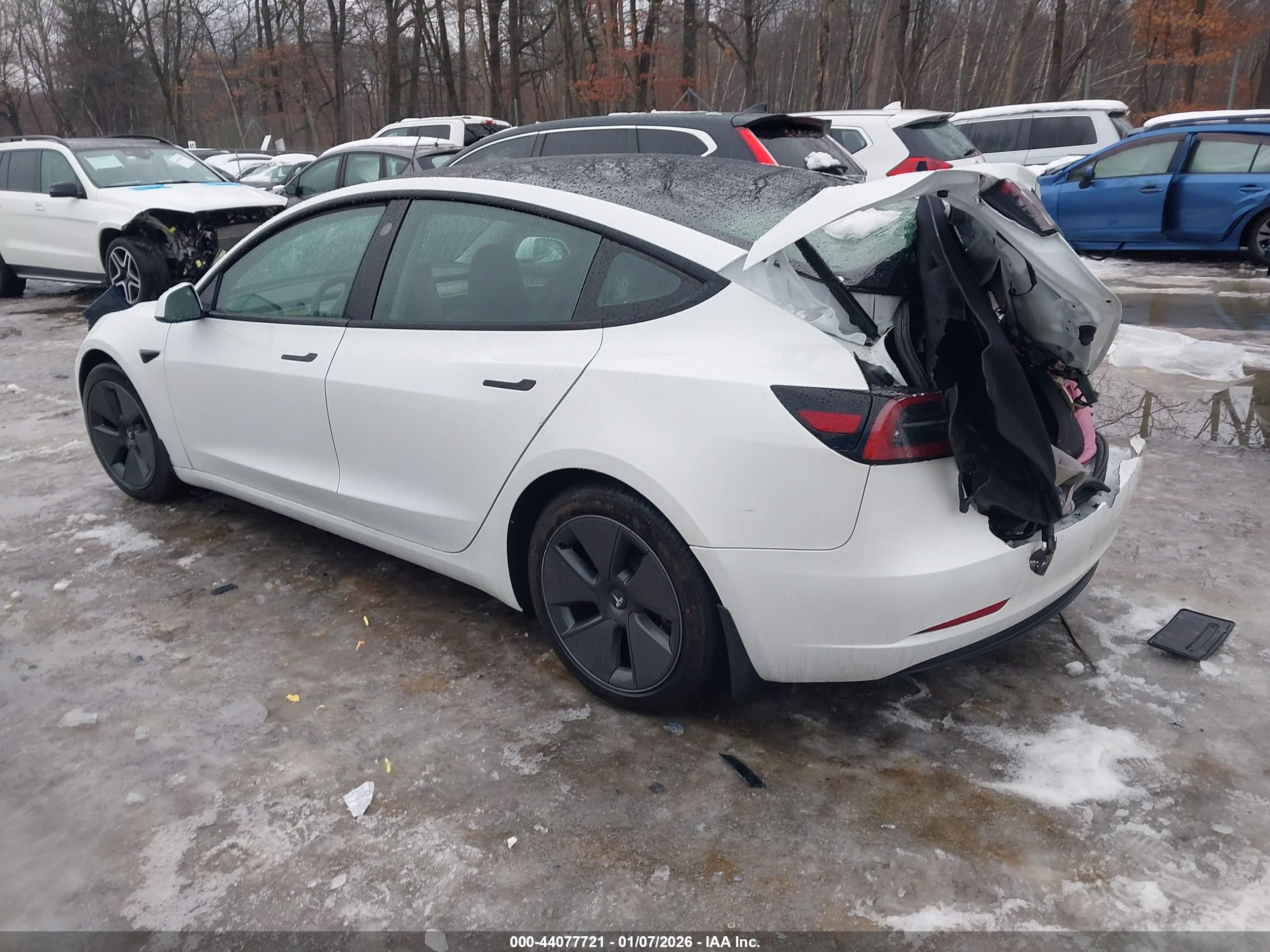 TESLA MODEL image 3