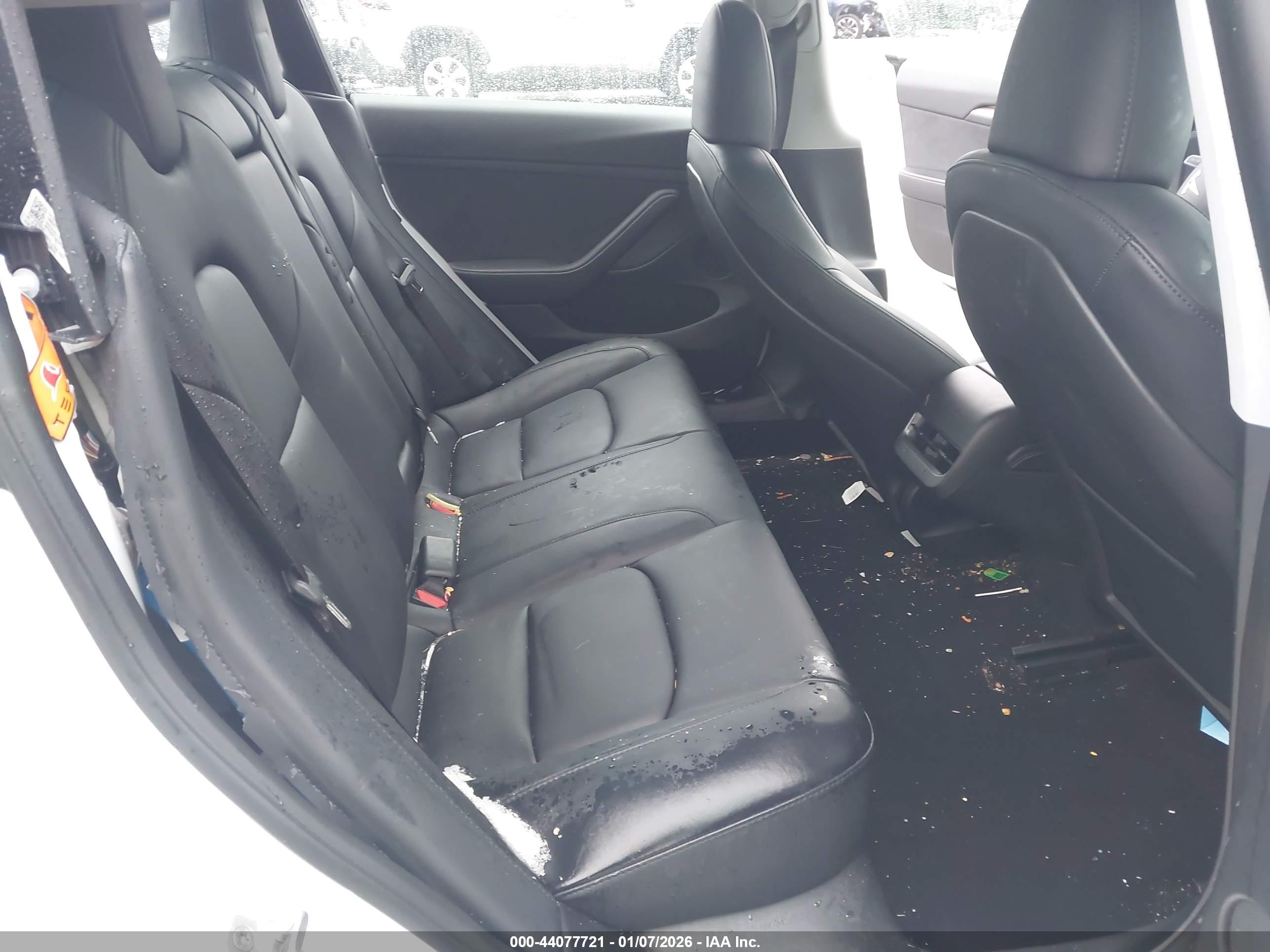 TESLA MODEL image 8