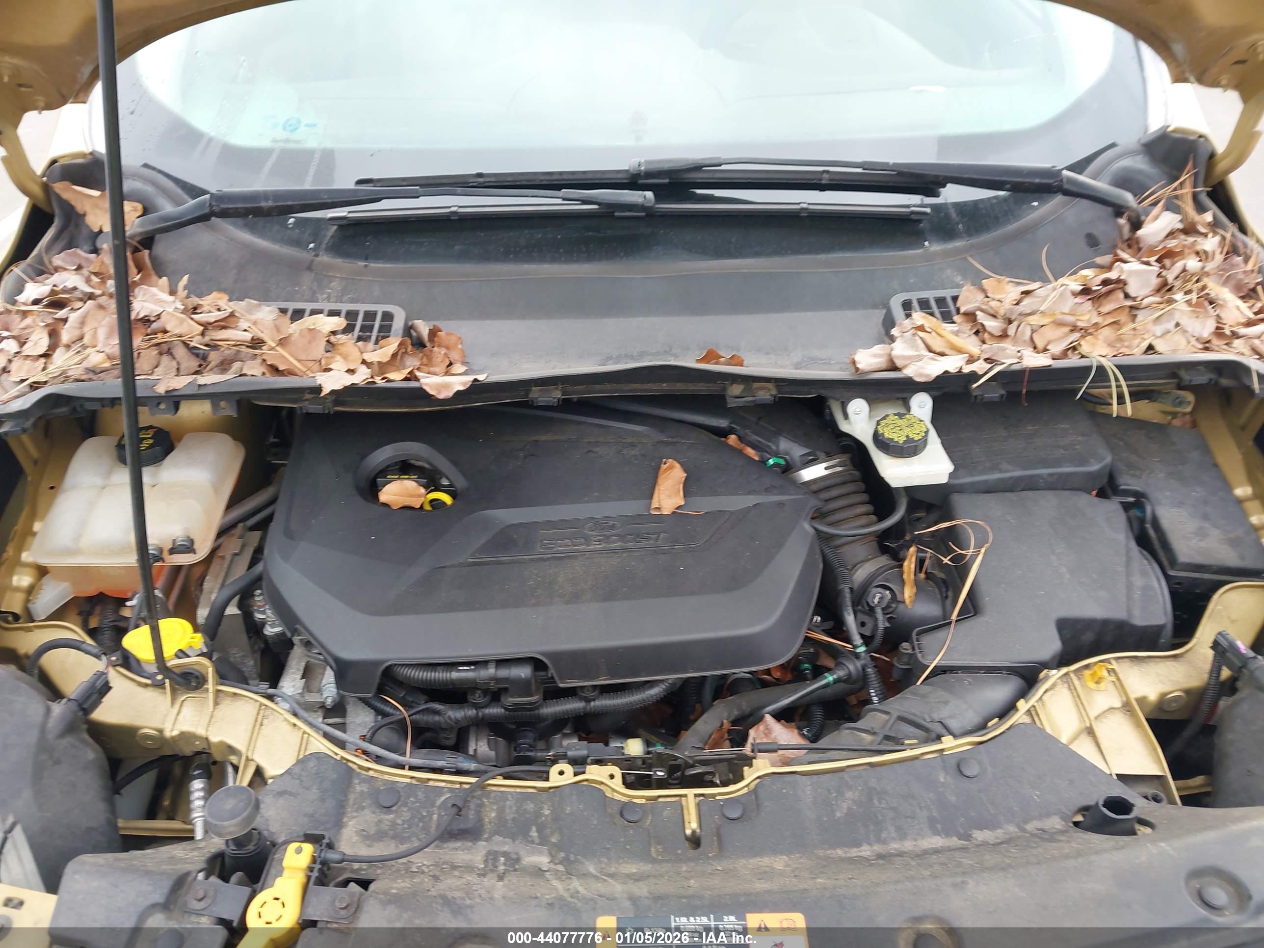 FORD ESCAPE image 10