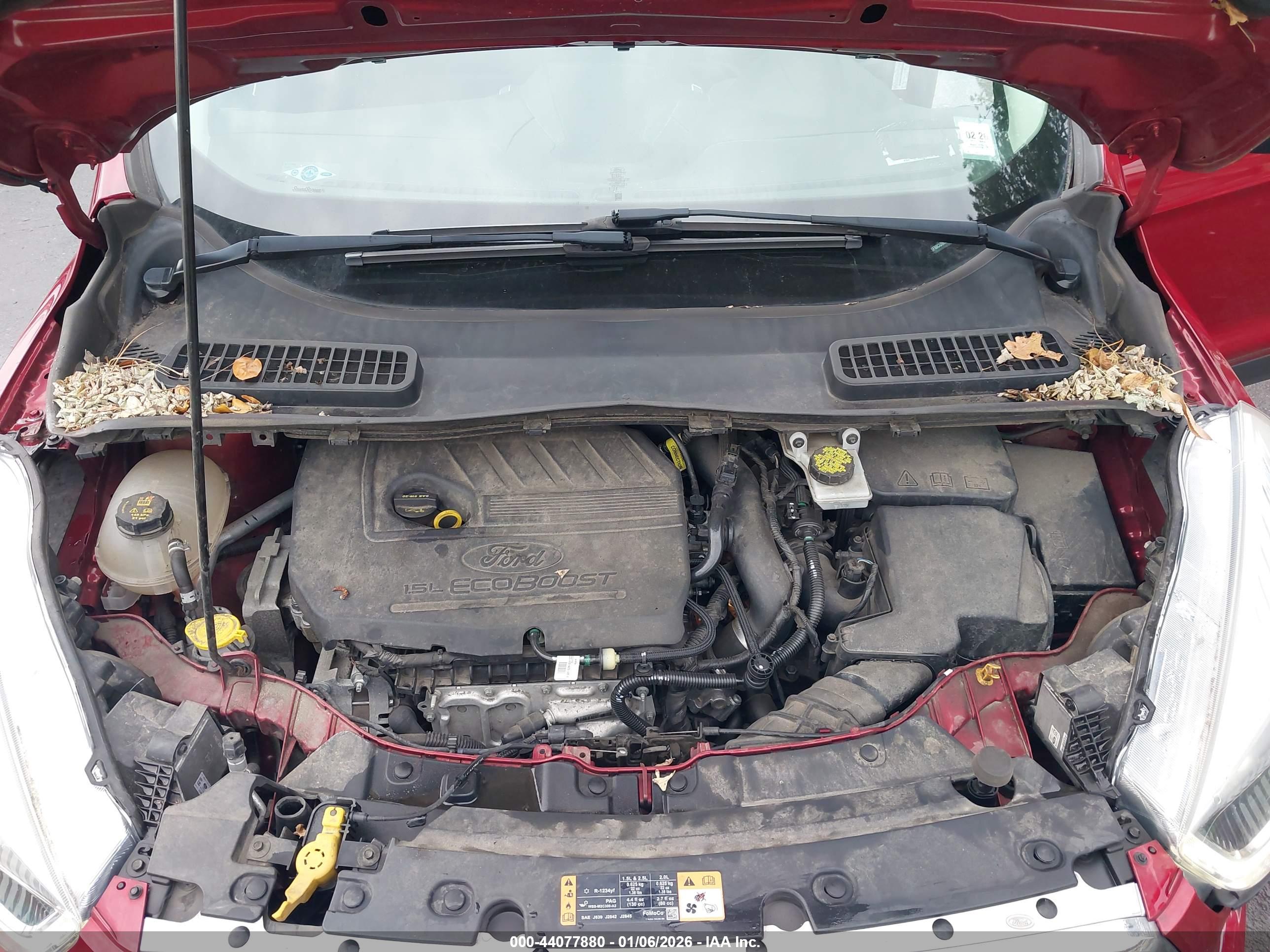 FORD ESCAPE image 10