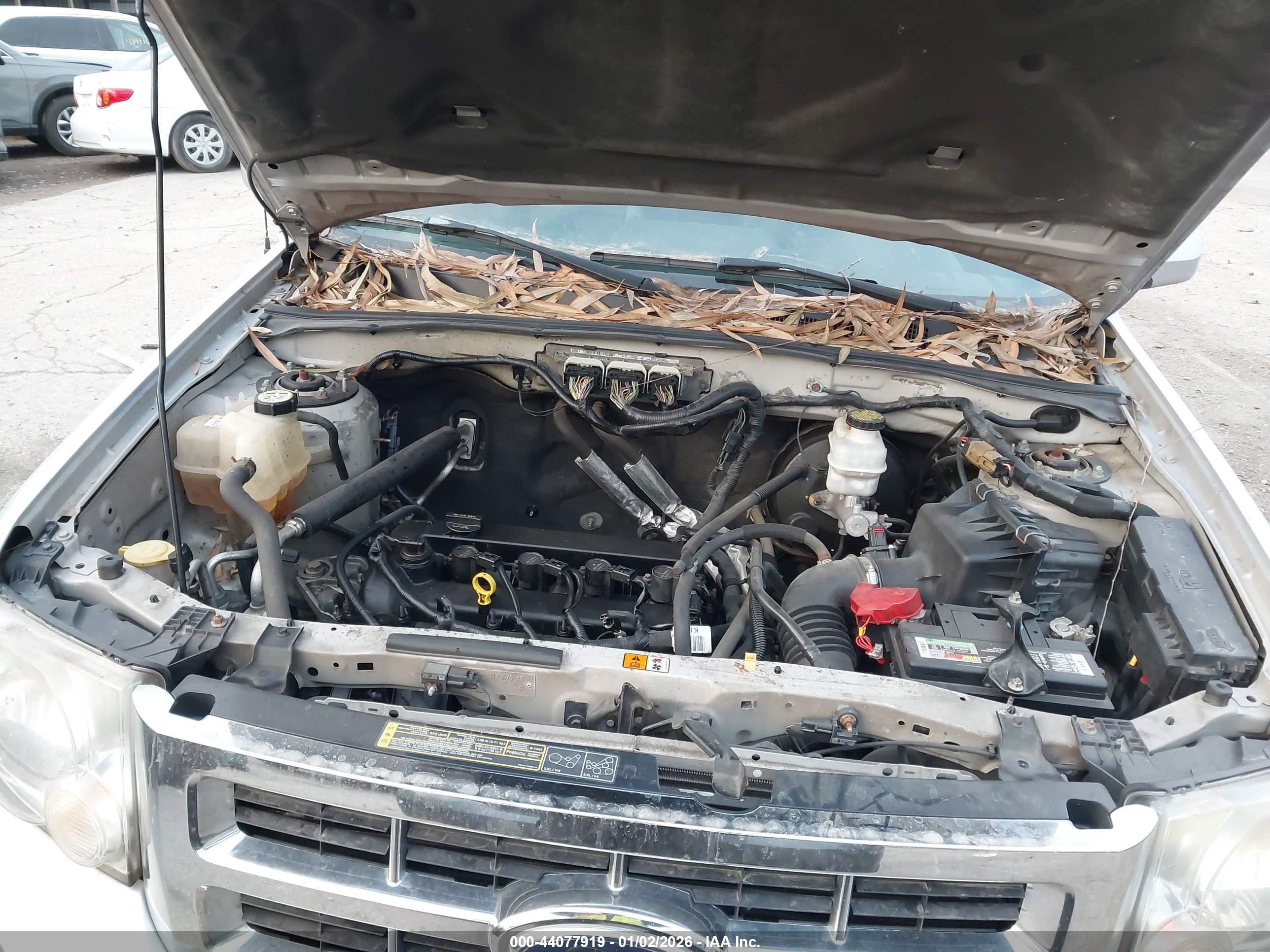 FORD ESCAPE image 10