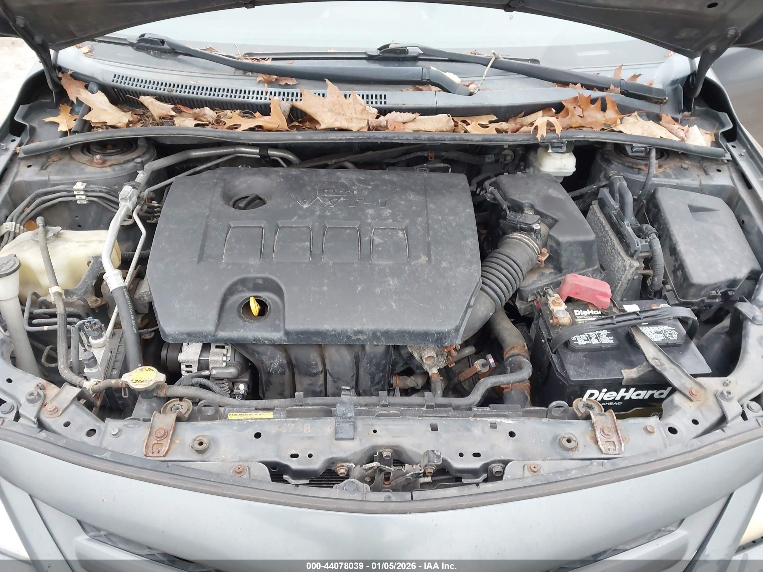 TOYOTA COROLLA image 10