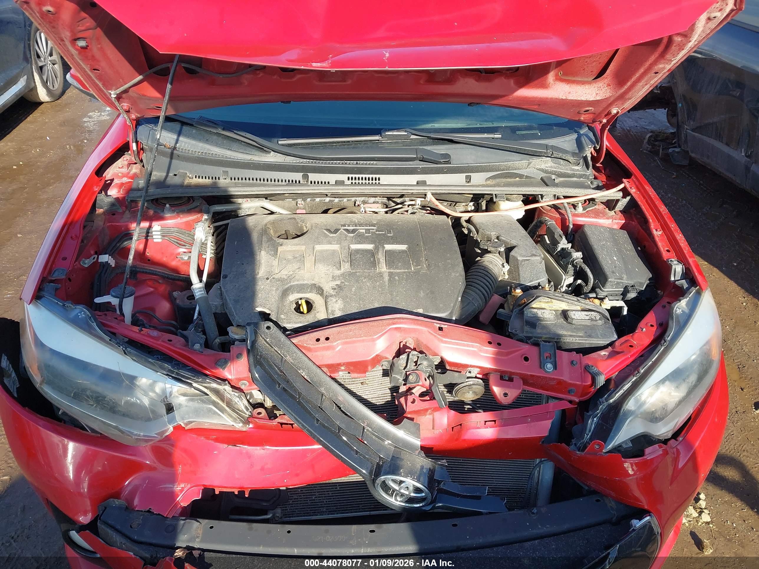 TOYOTA COROLLA image 10