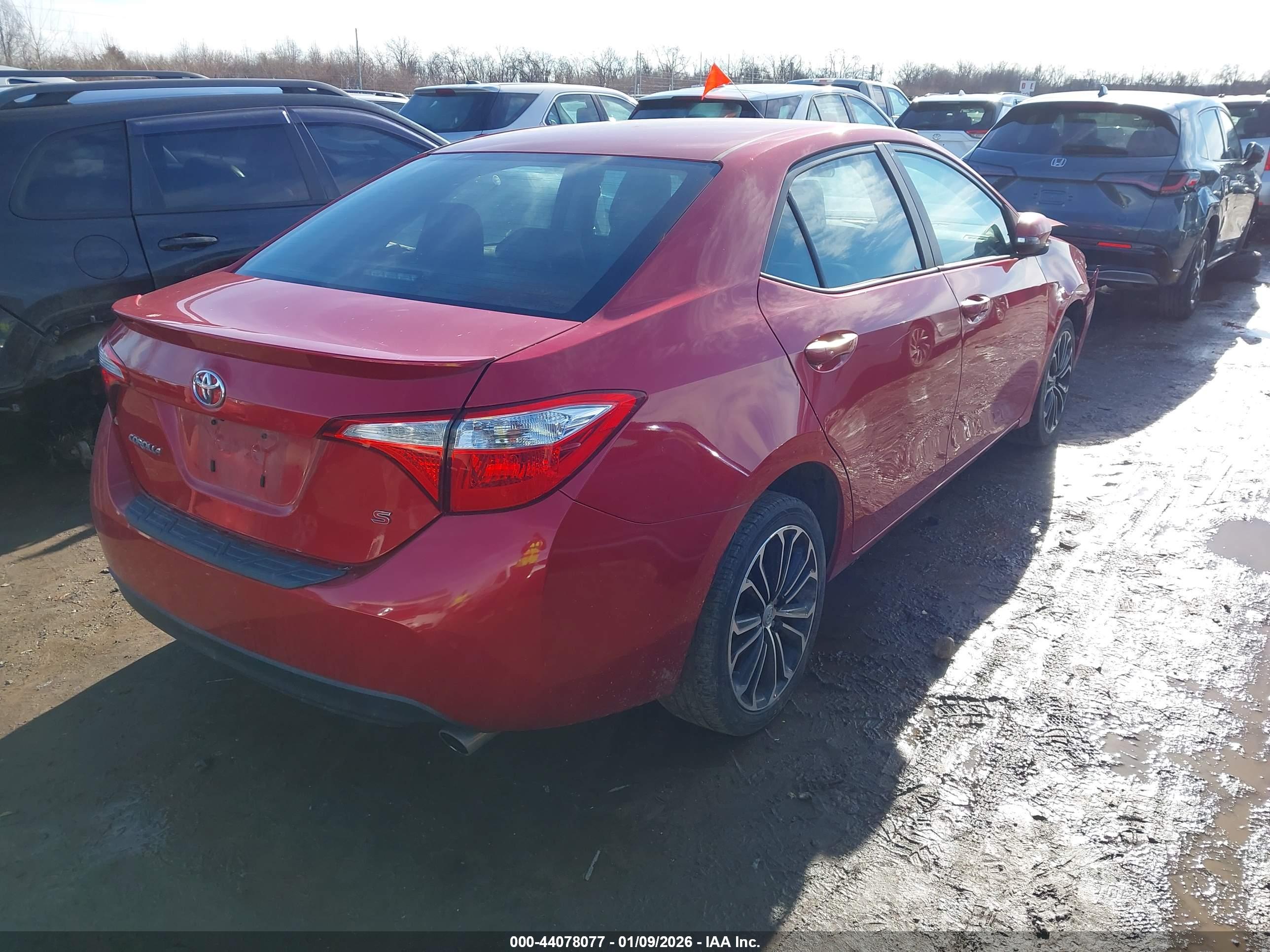 TOYOTA COROLLA image 4