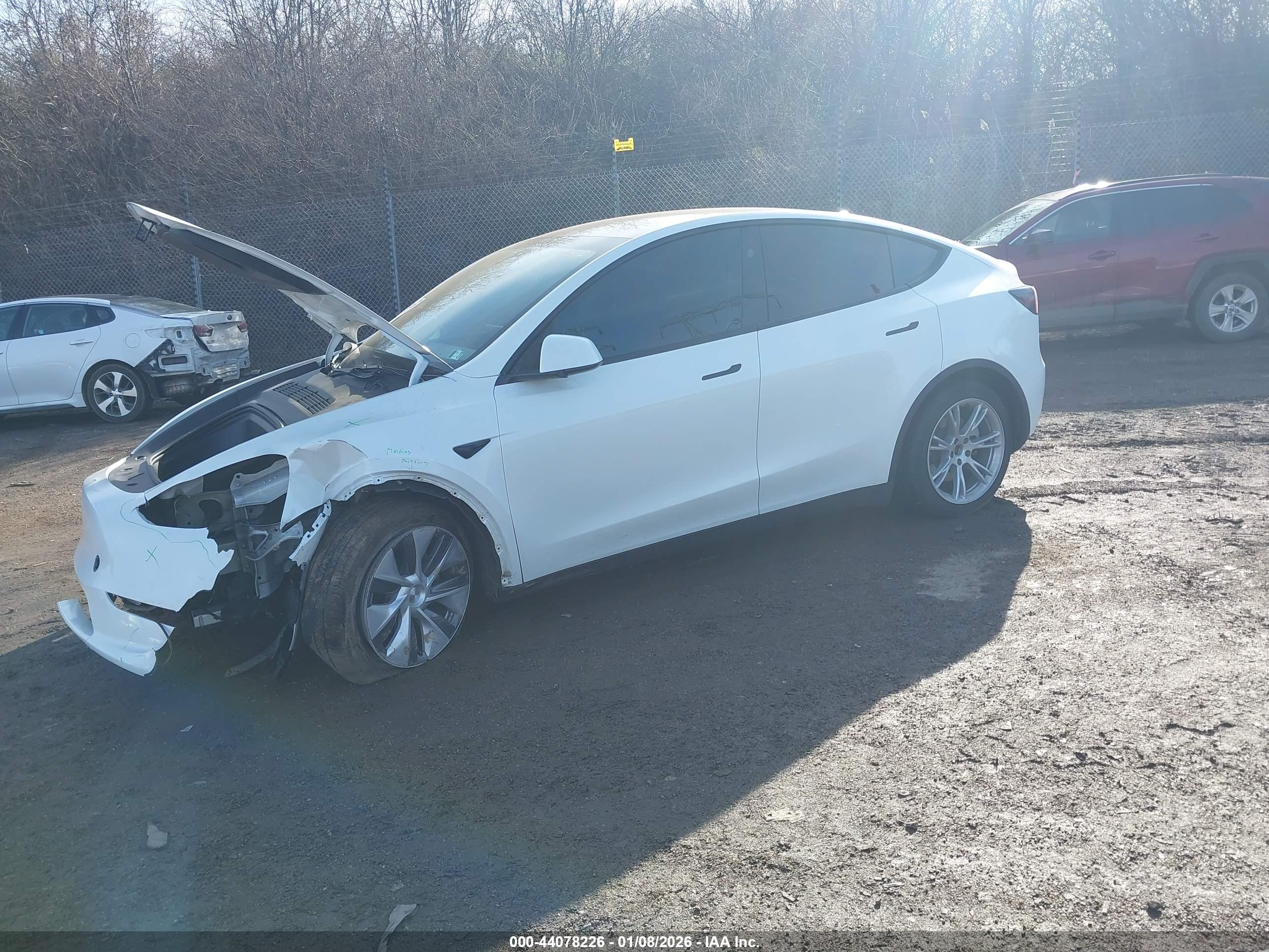 TESLA MODEL image 2