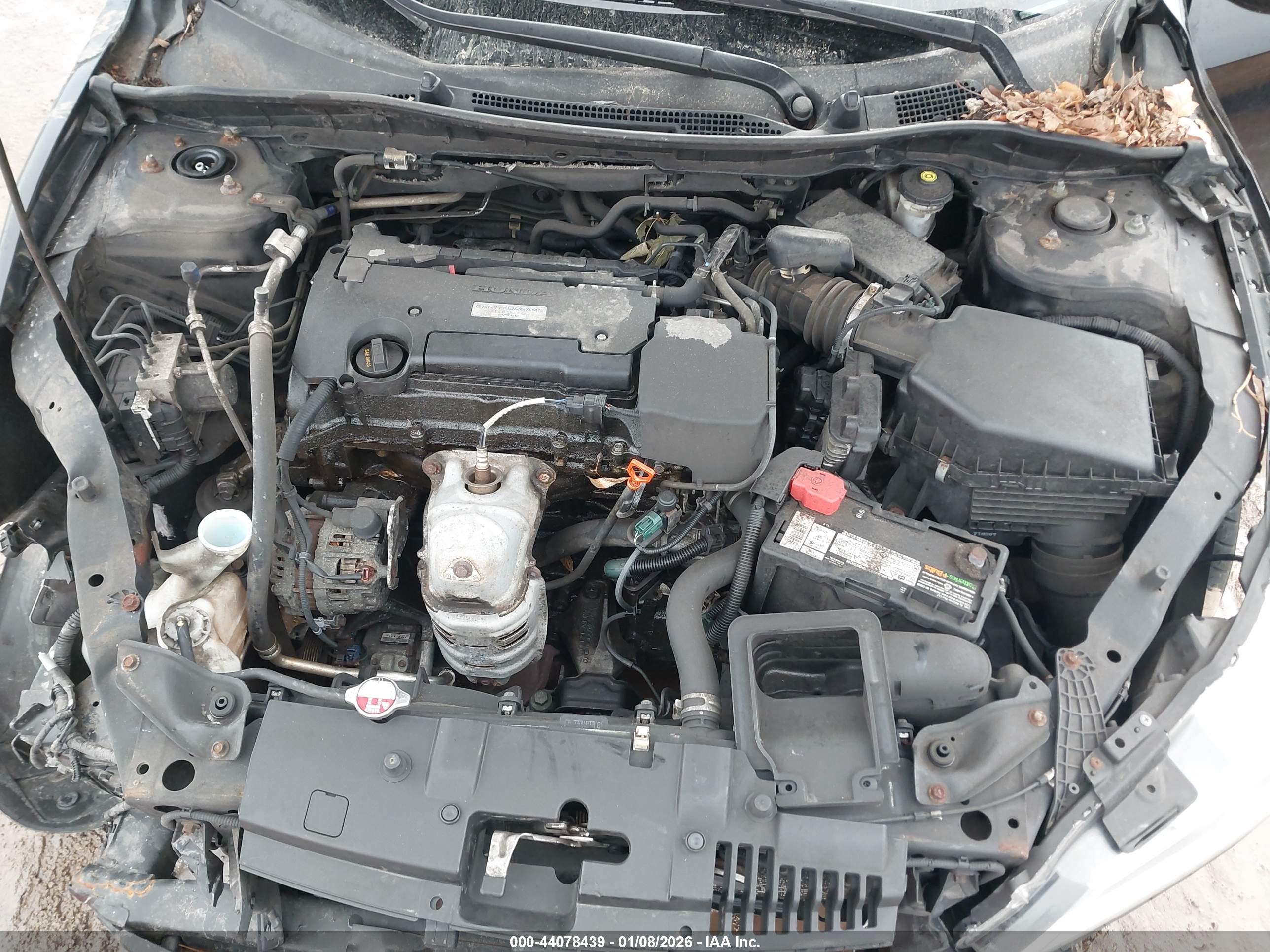 HONDA ACCORD image 10
