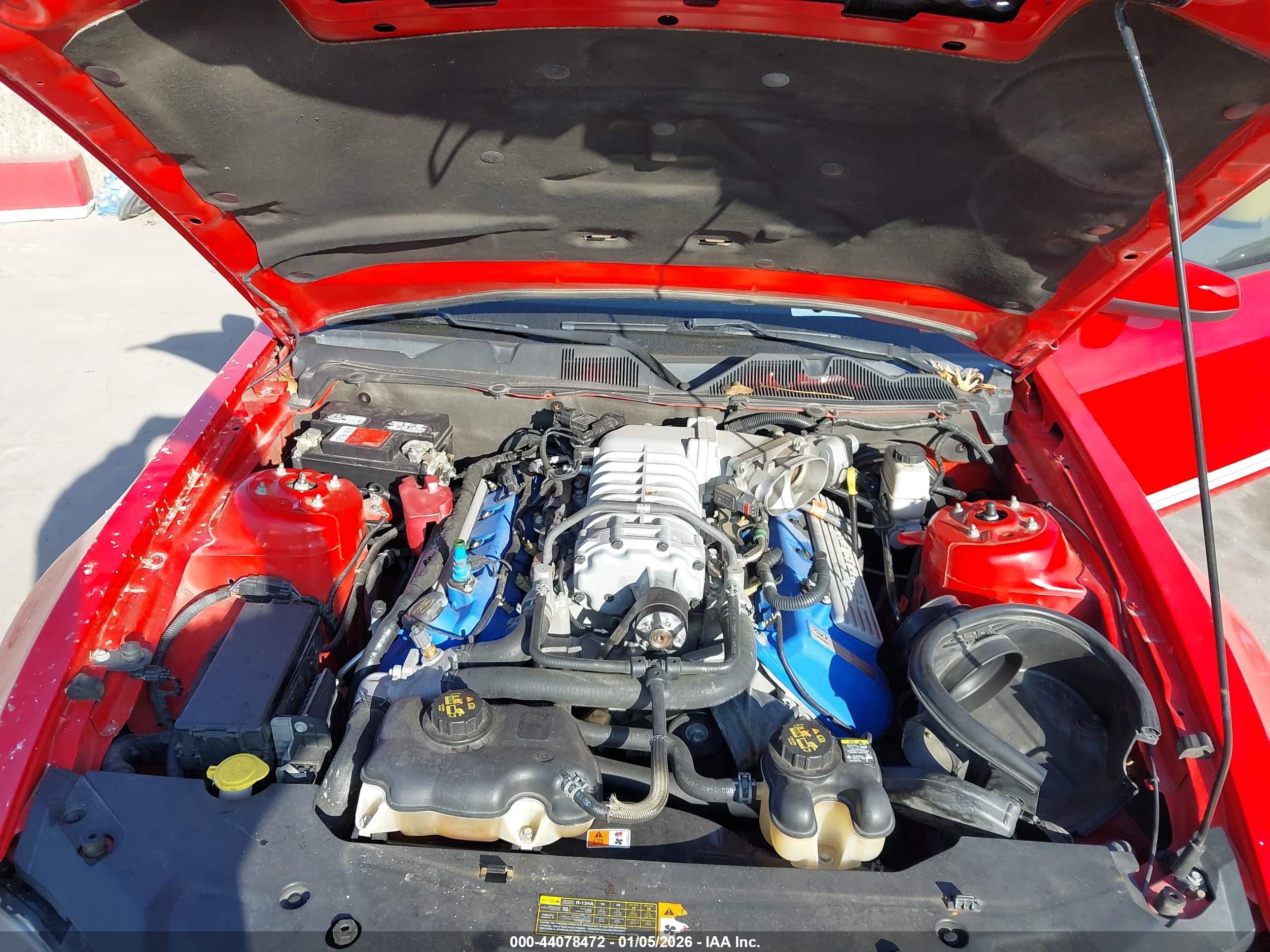 FORD SHELBY image 10