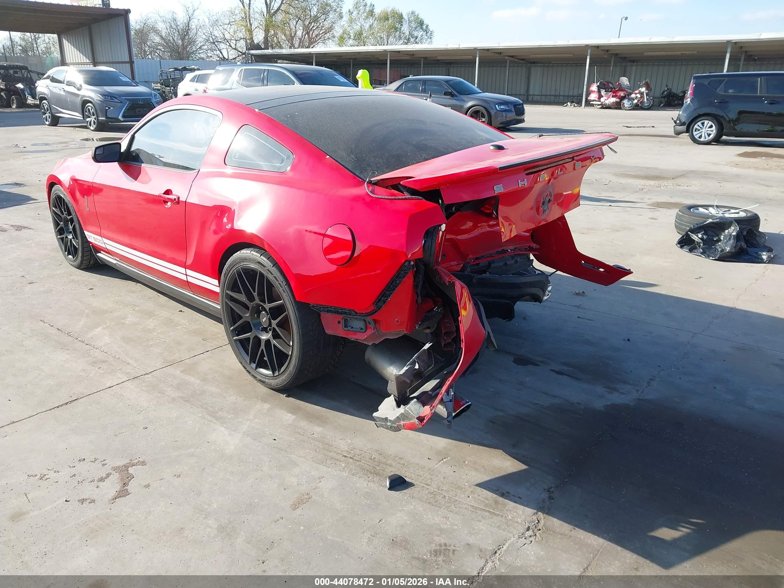 FORD SHELBY image 3