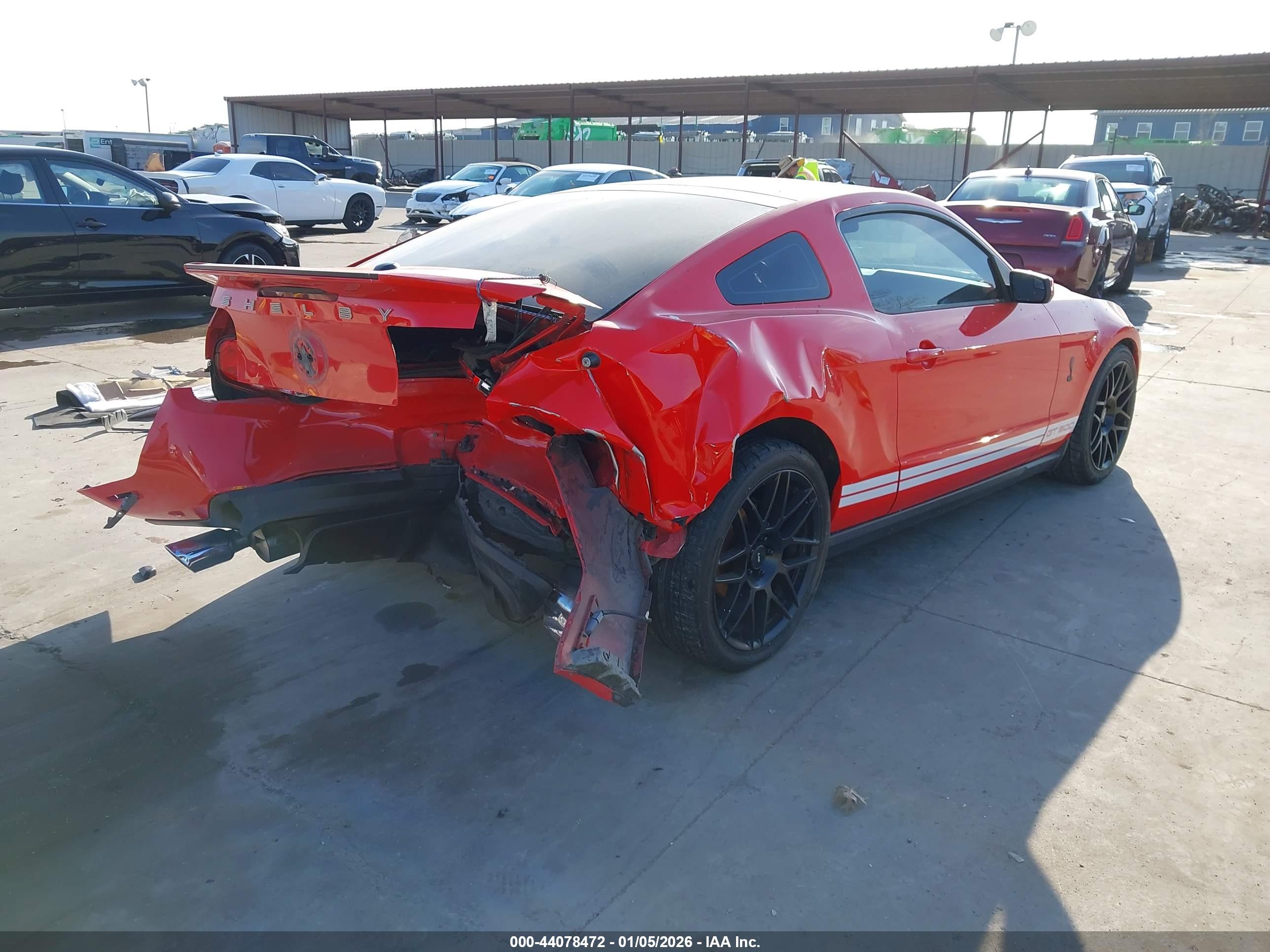 FORD SHELBY image 4