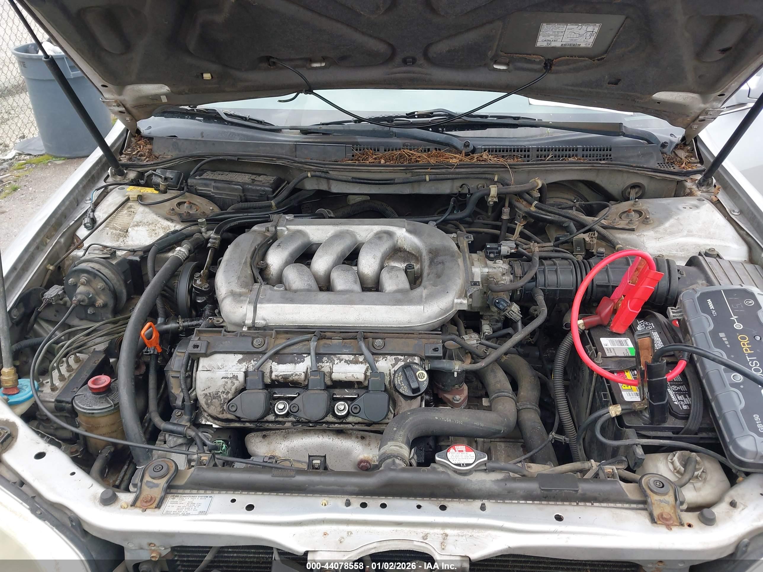 HONDA ACCORD image 10
