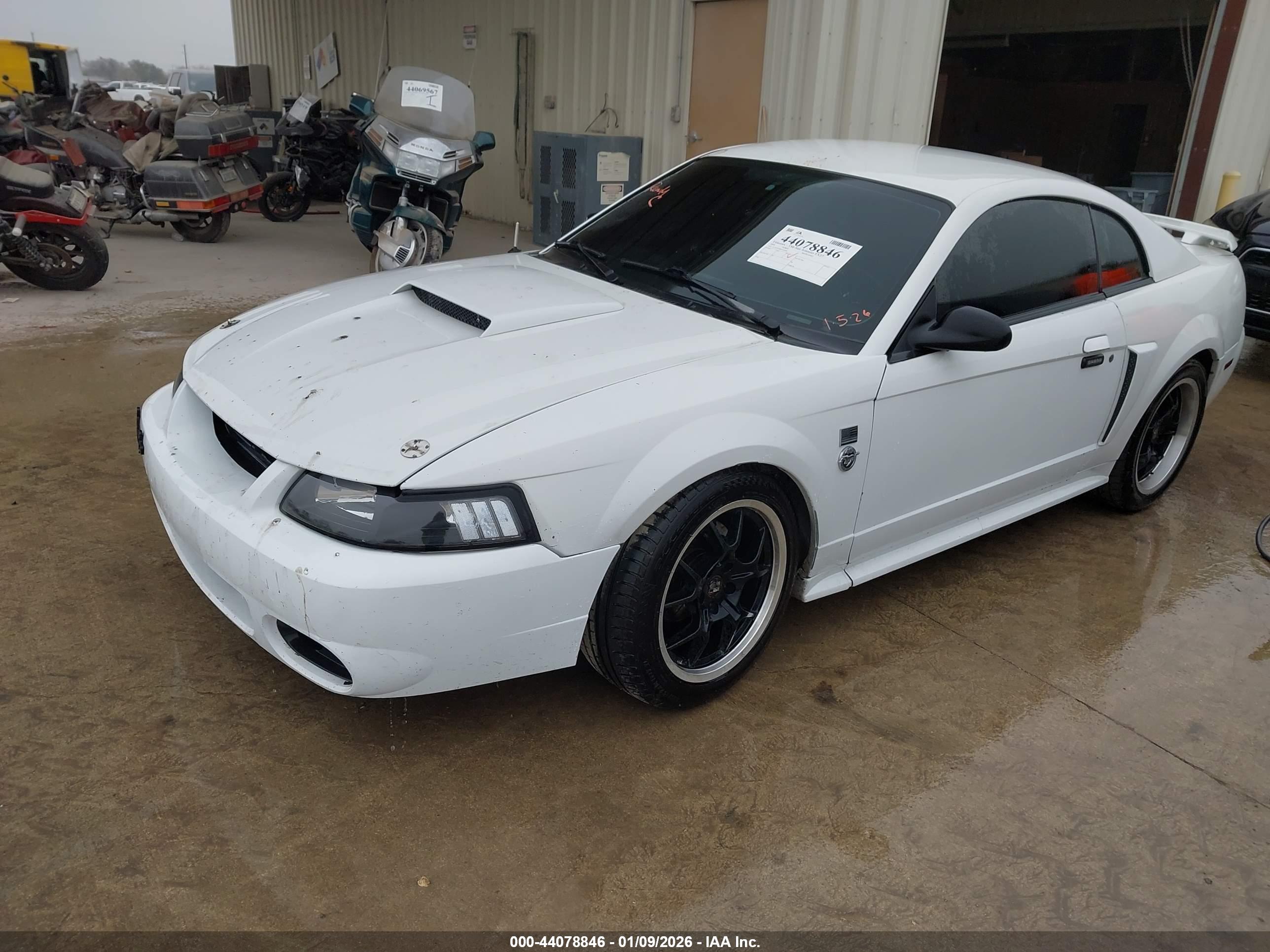 FORD MUSTANG image 2