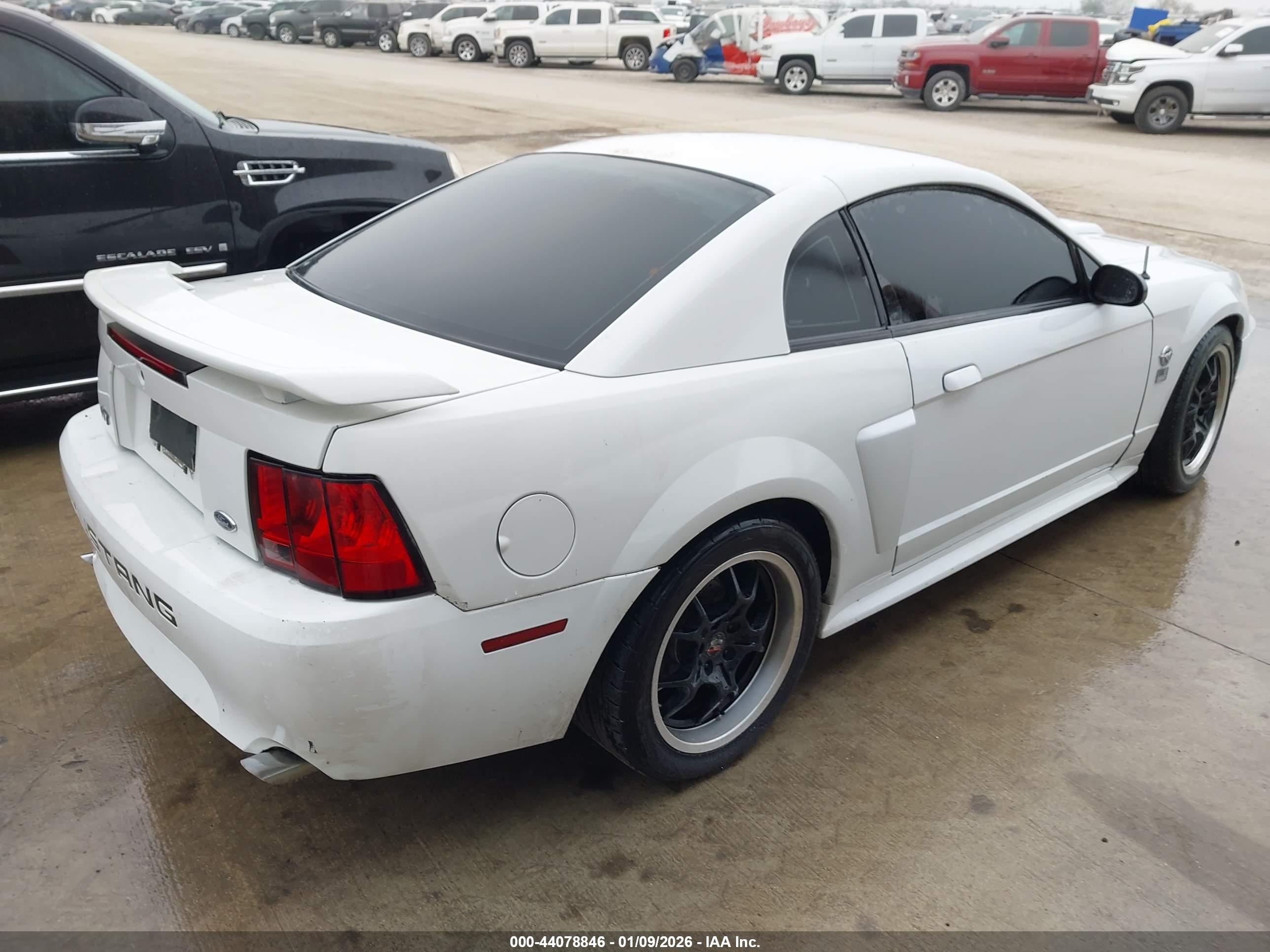 FORD MUSTANG image 4
