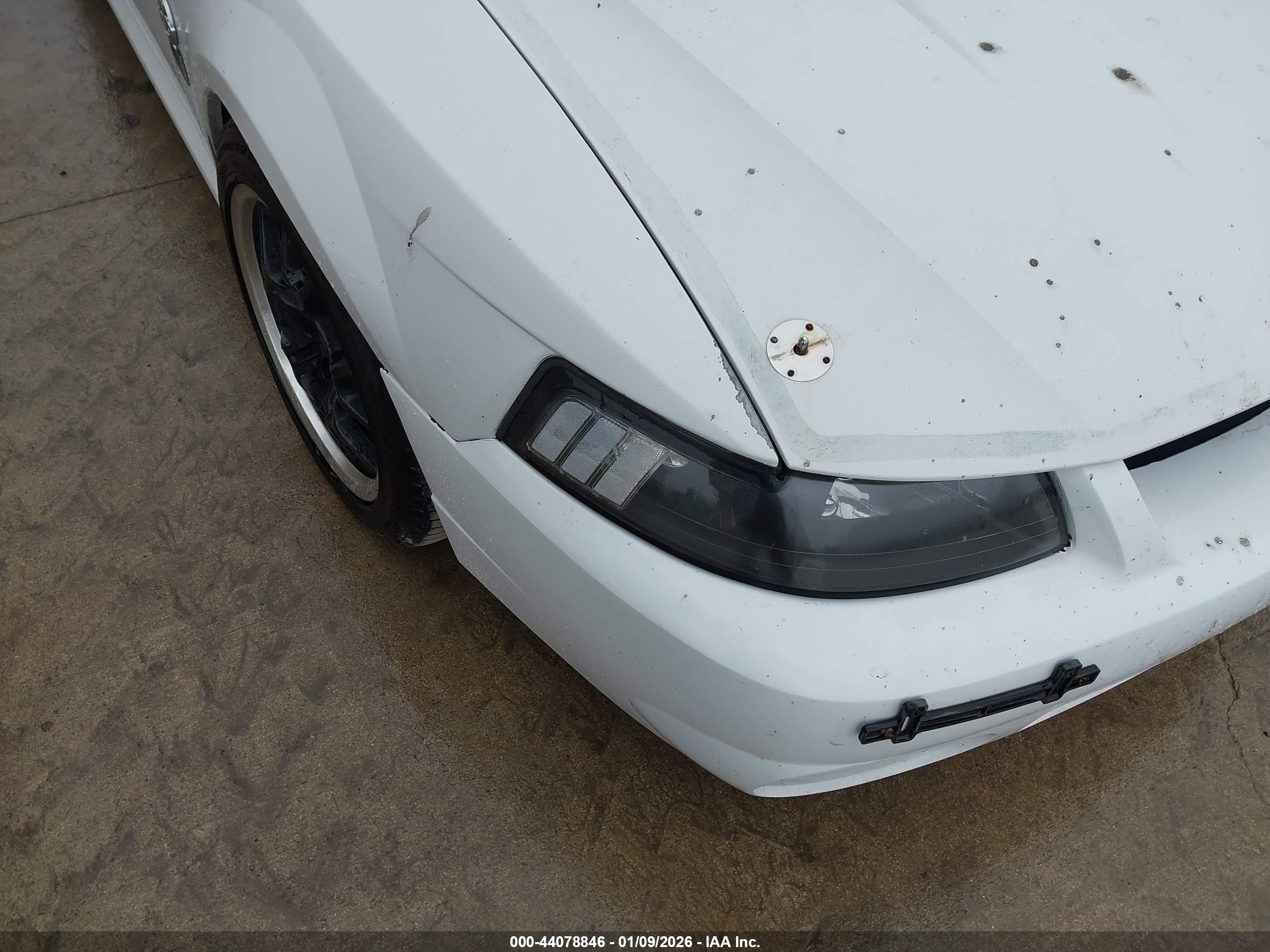 FORD MUSTANG image 6