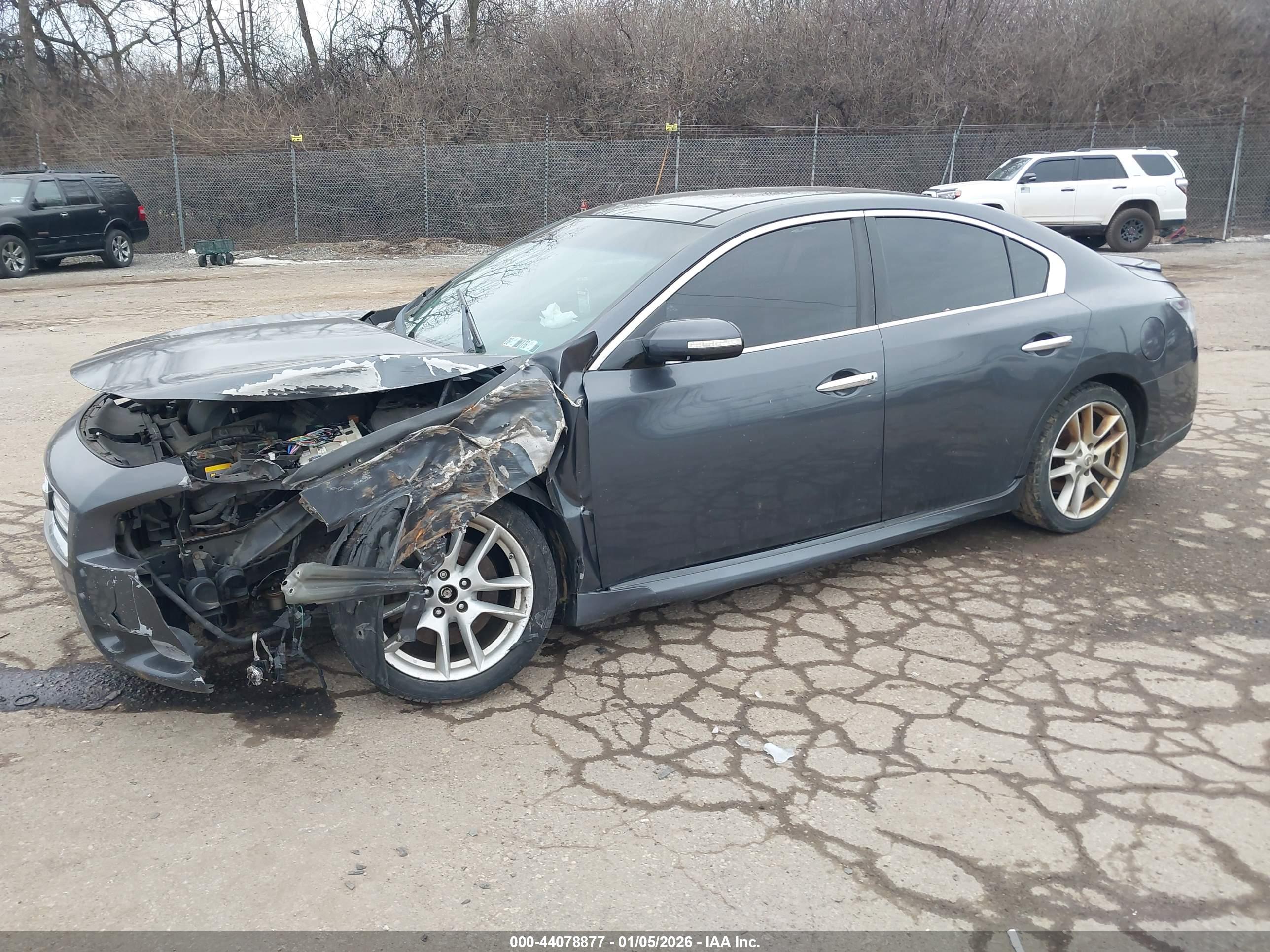 NISSAN MAXIMA image 2