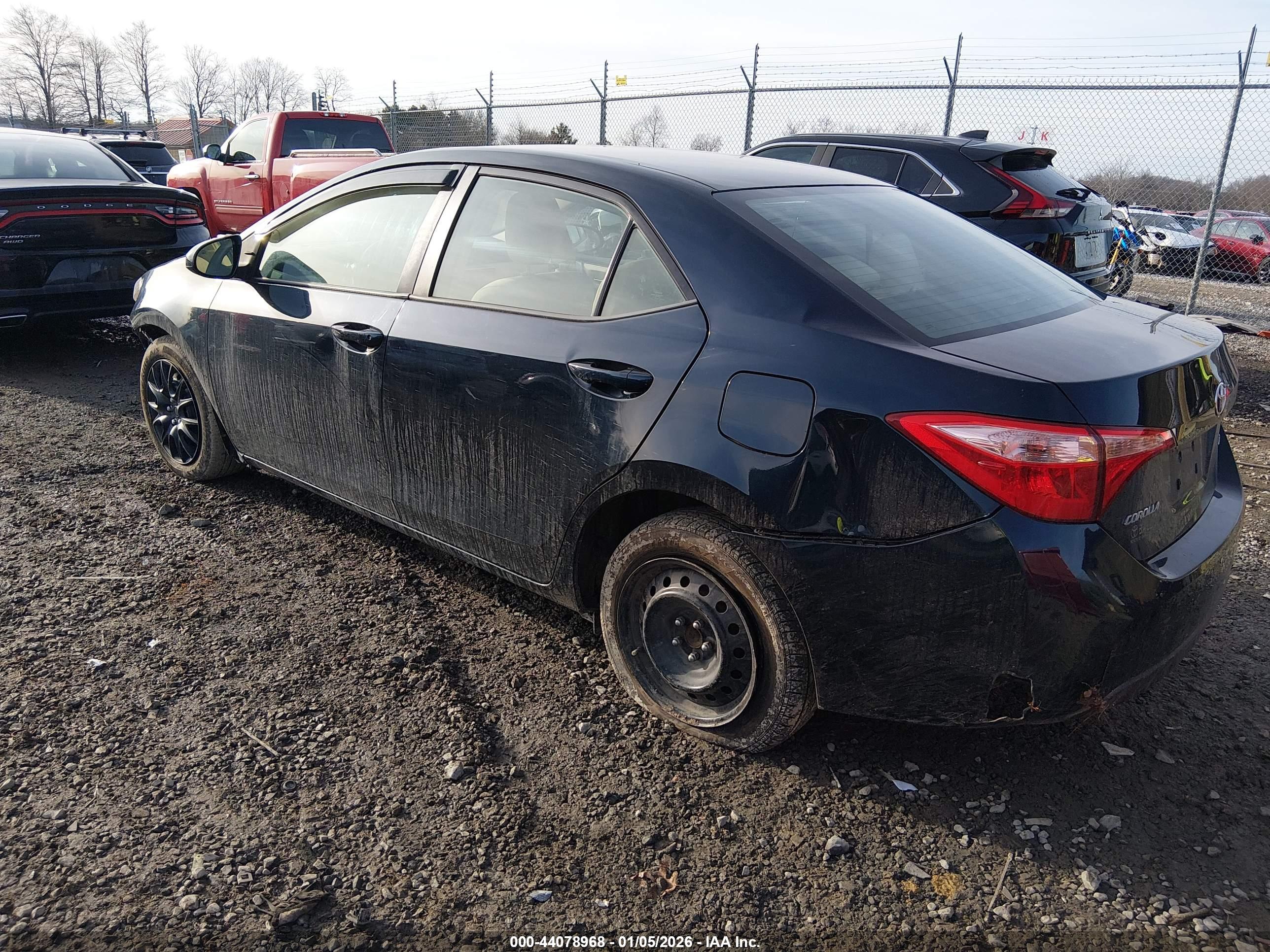 TOYOTA COROLLA image 3